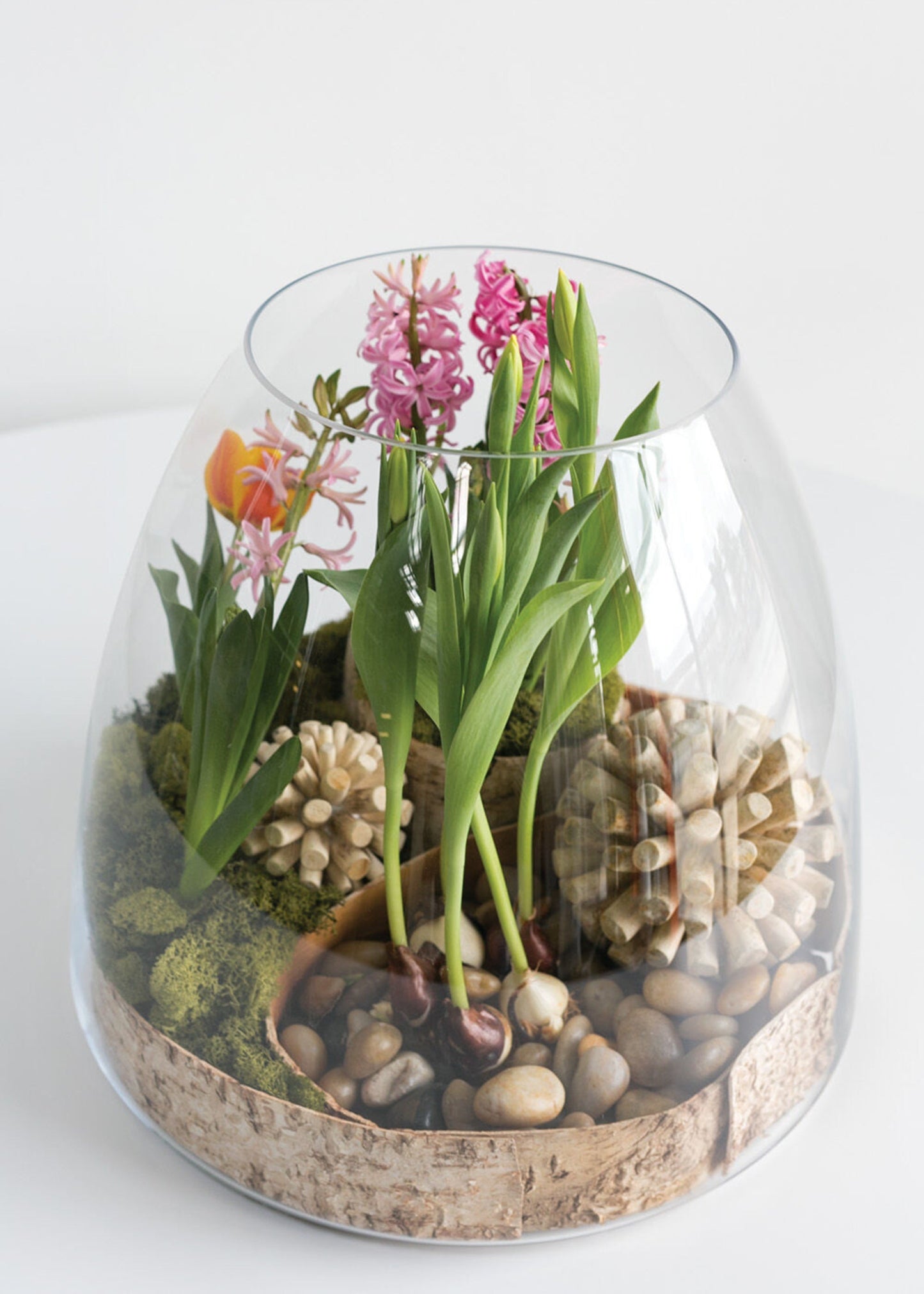 Large Clear Glass Terrarium Vase - 15.25"