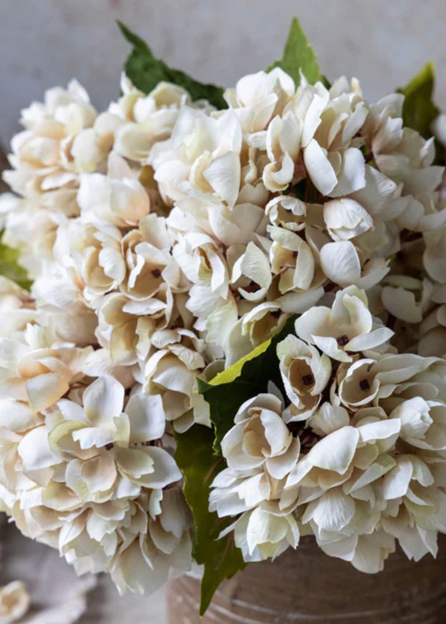 Abigail Ahern Hydrangea Fake Flower in Beige - 13.75"