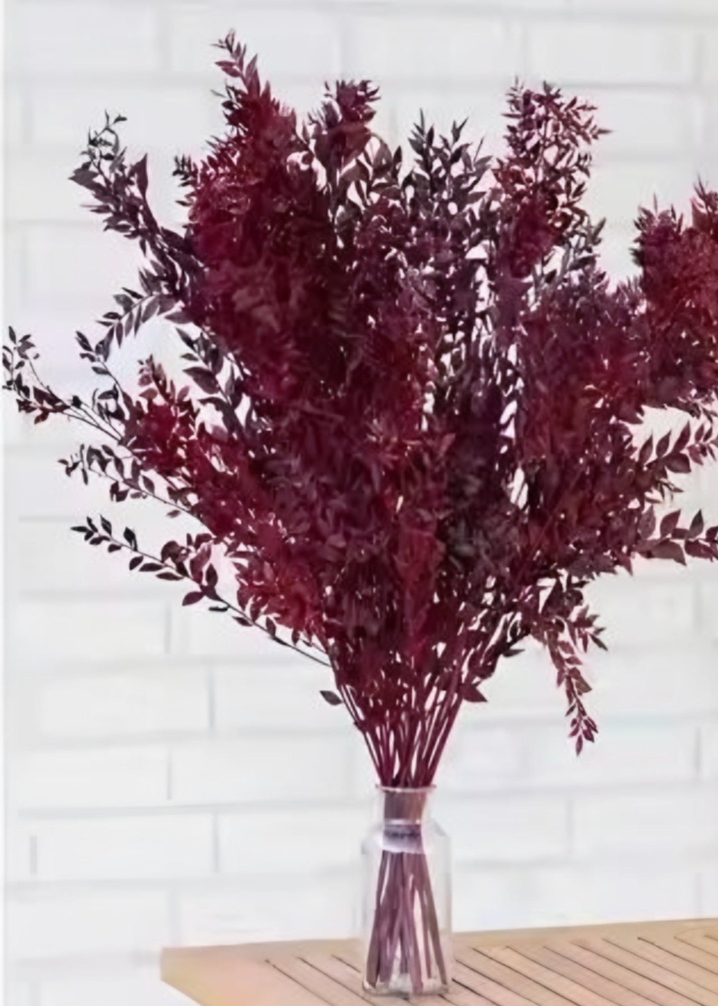 Red Preserved Ruscus Leaves - 1.5 oz Bunch