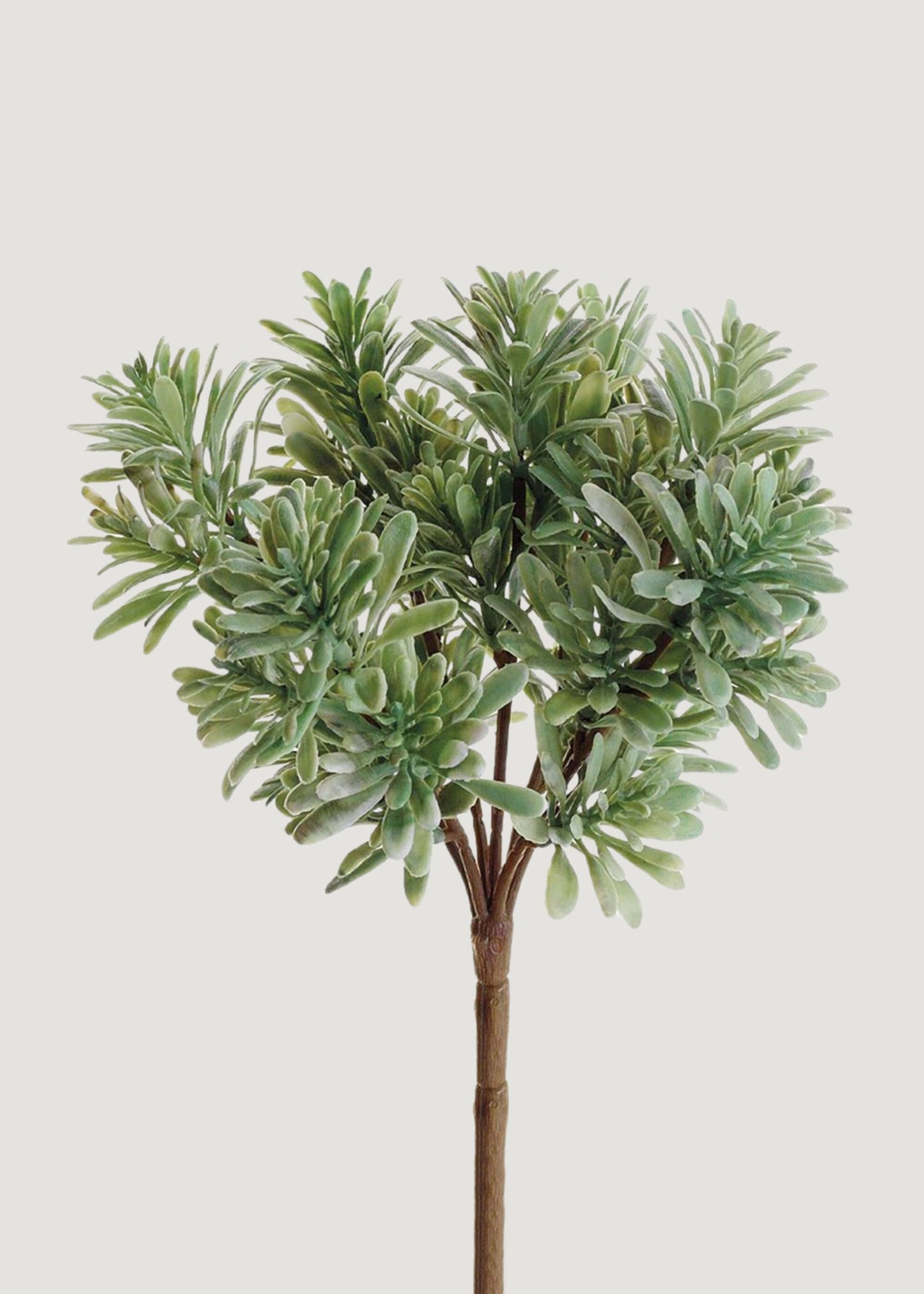 Artificial Jade Succulent Plant - 7"
