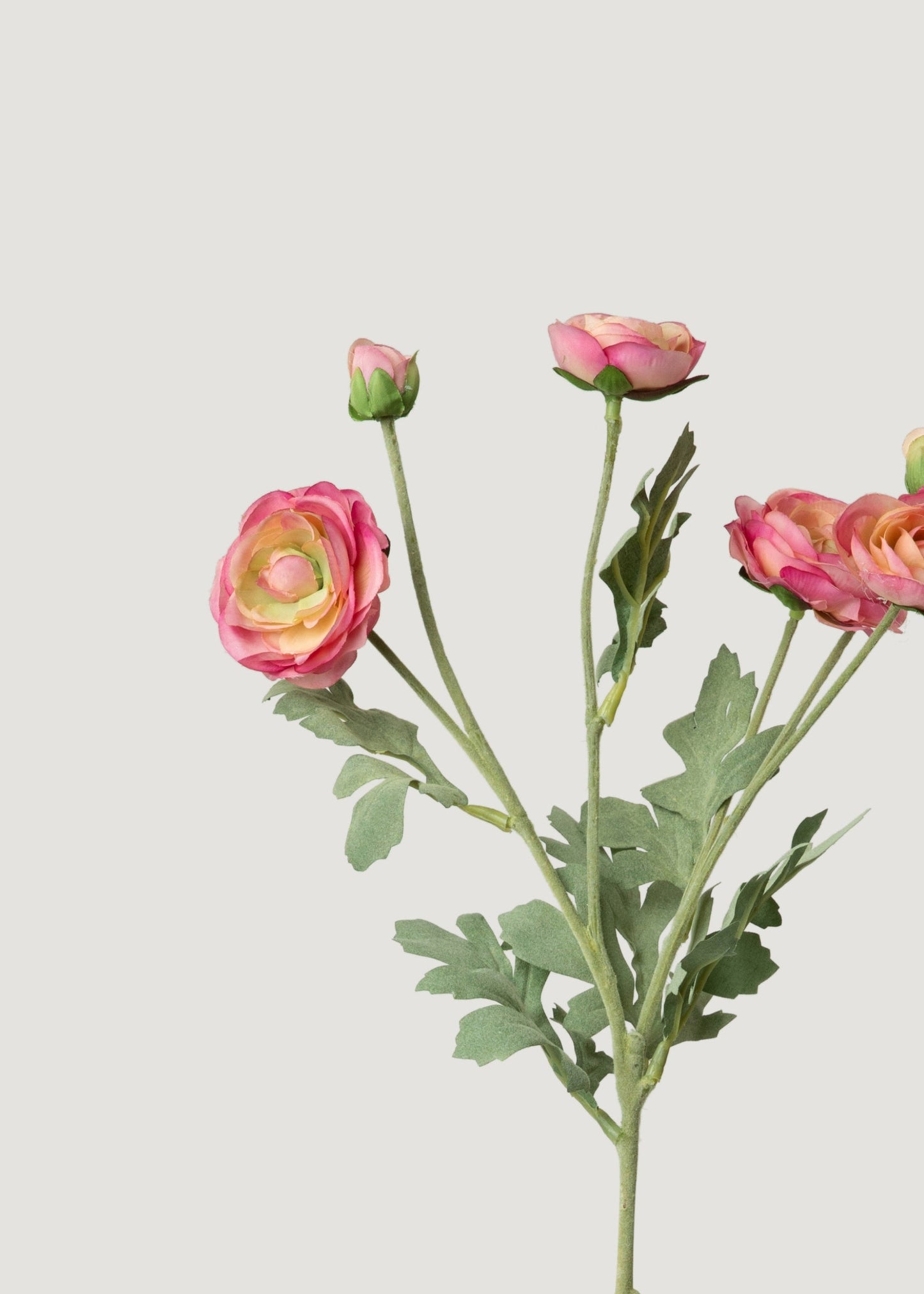 Ranunculus Fake Flowers in Pink - 26"