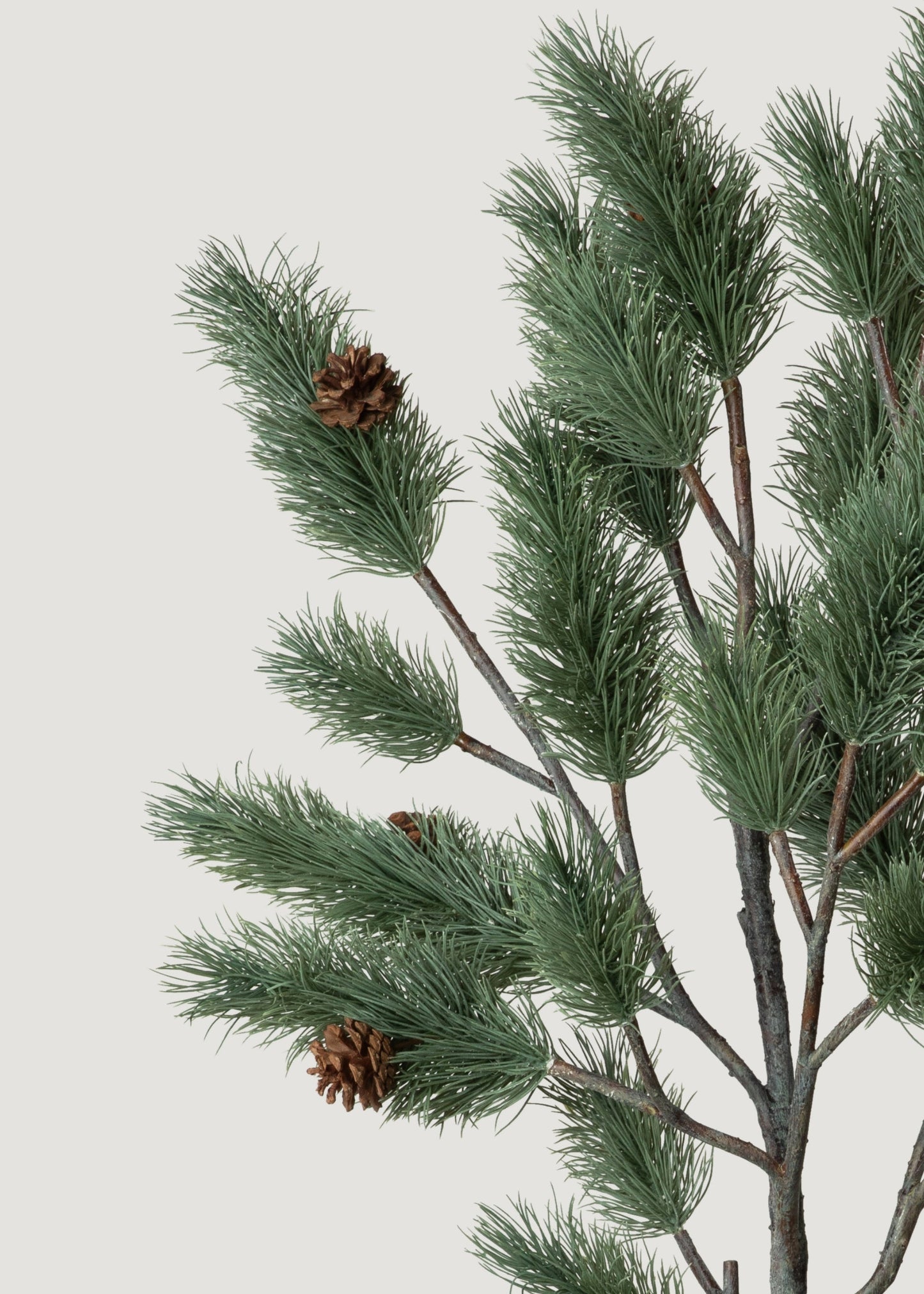 Oversized Deluxe Blue Spruce Pine Branch - 51"