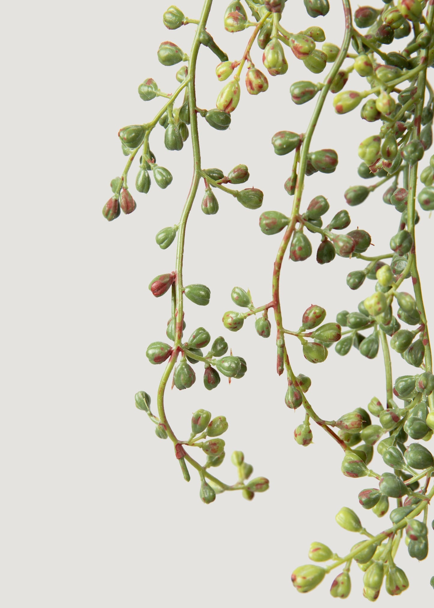 Hanging String of Pearls Fake Succulent Bush - 24"