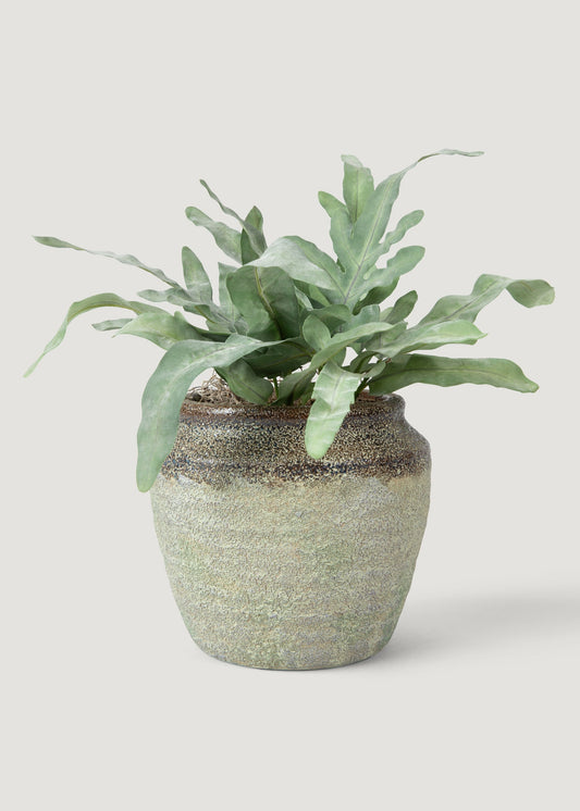Artificial Echeveria Fern Drop-In Plant - 8.5"