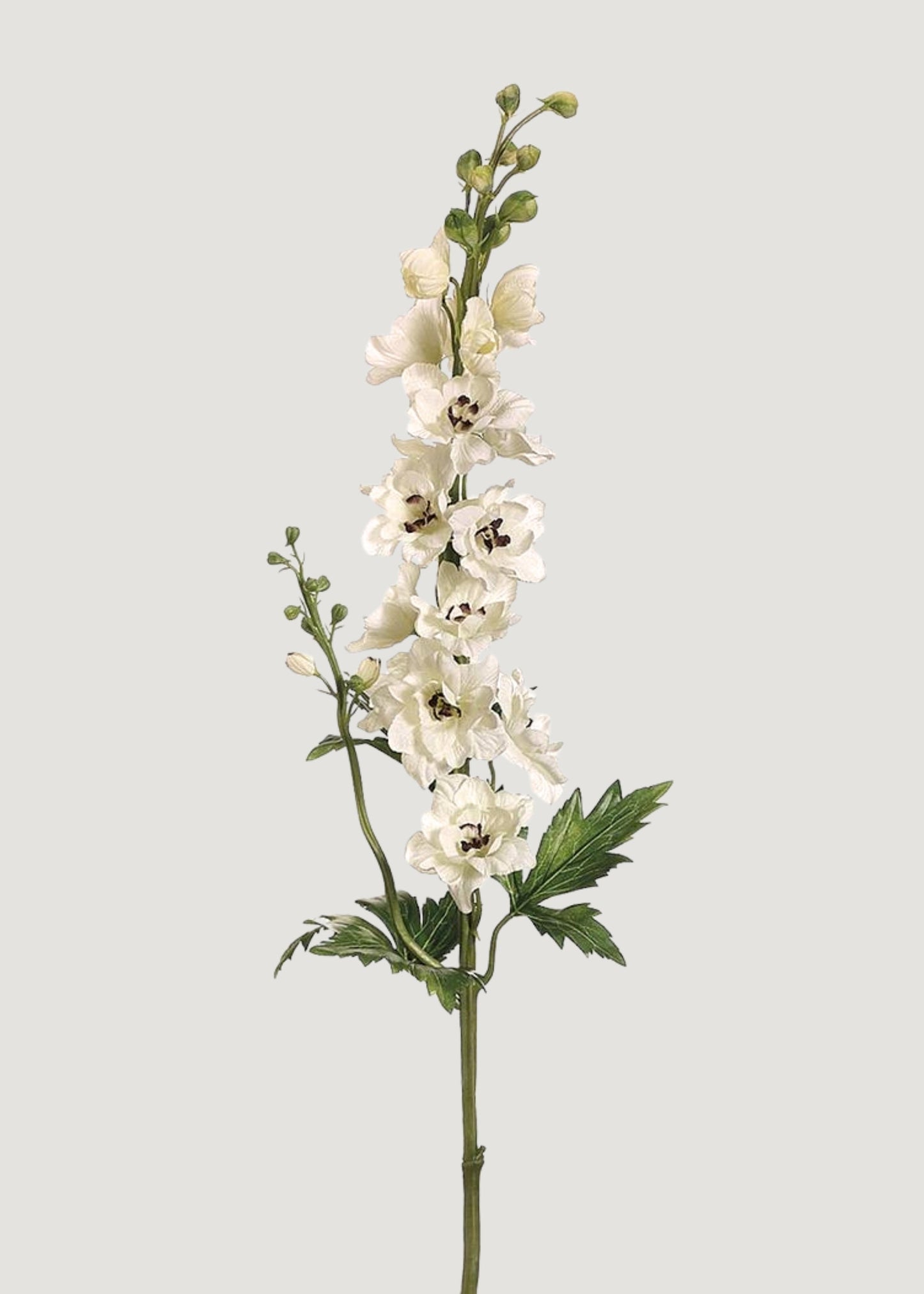 Tall Cream Artificial Delphinium Wildflower Stem - 35"