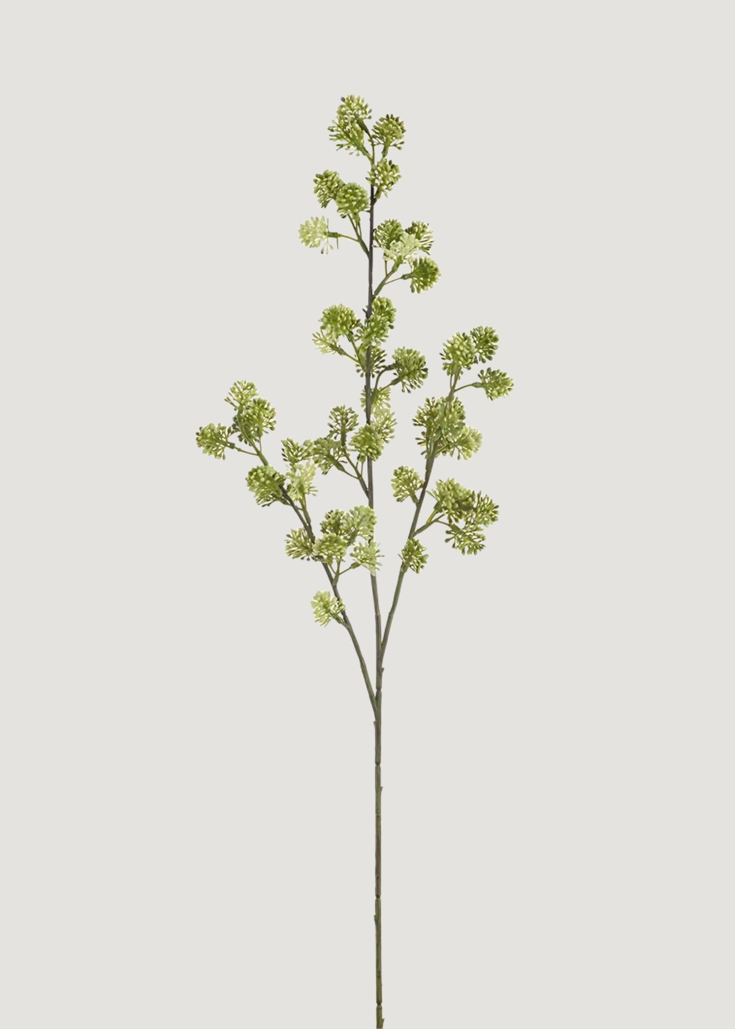 Artificial Sedum Succulent Branch in Green Cream - 28"