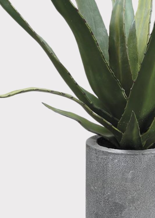 Fake Potted Agave Cactus Plant in Cement Pot - 19"