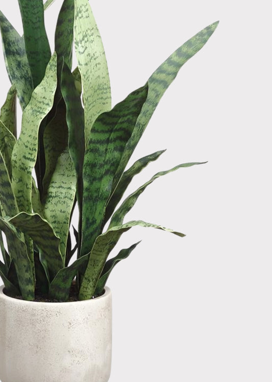Artificial Potted Snake Plant in Cement Pot - 28"