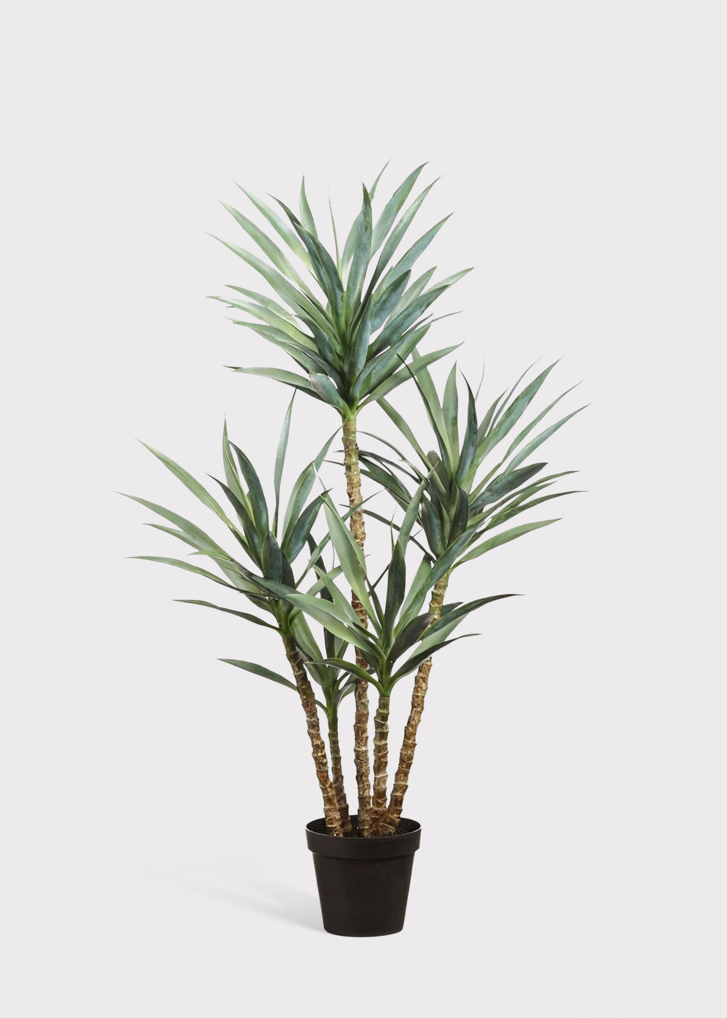 Fake Yucca Tree Potted Plant - 60"