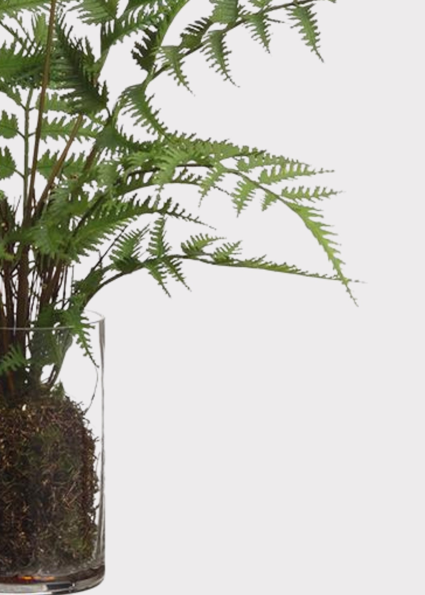 Fake Forest Fern Plant Arrangement in Glass Vase - 25"