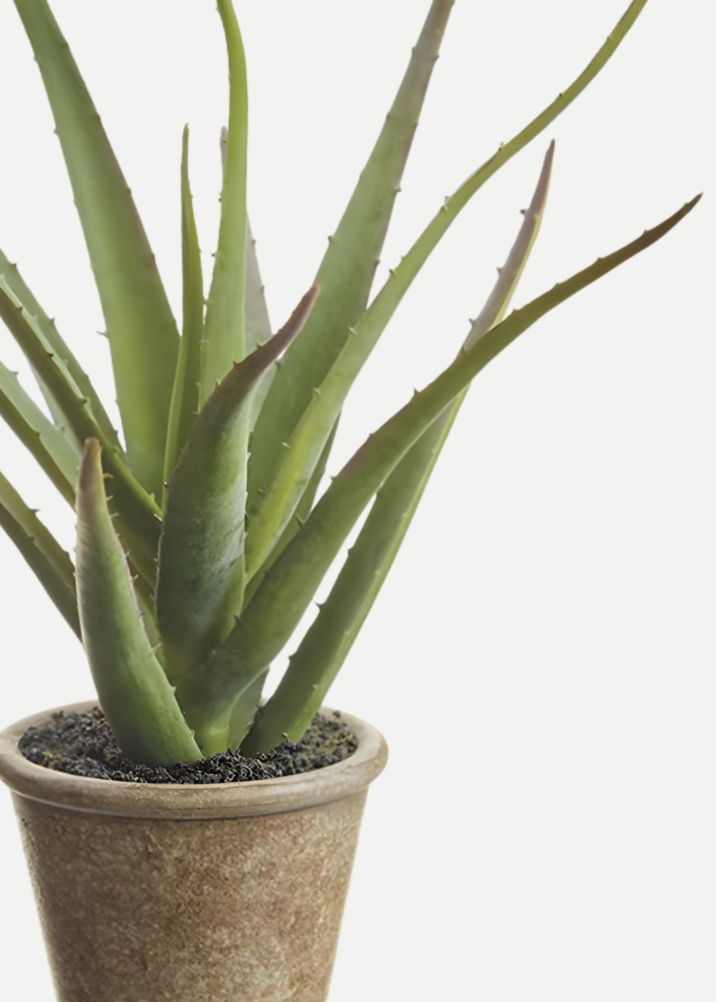Small Fake Agave Cactus Plant in Paper Mache Pot - 11"