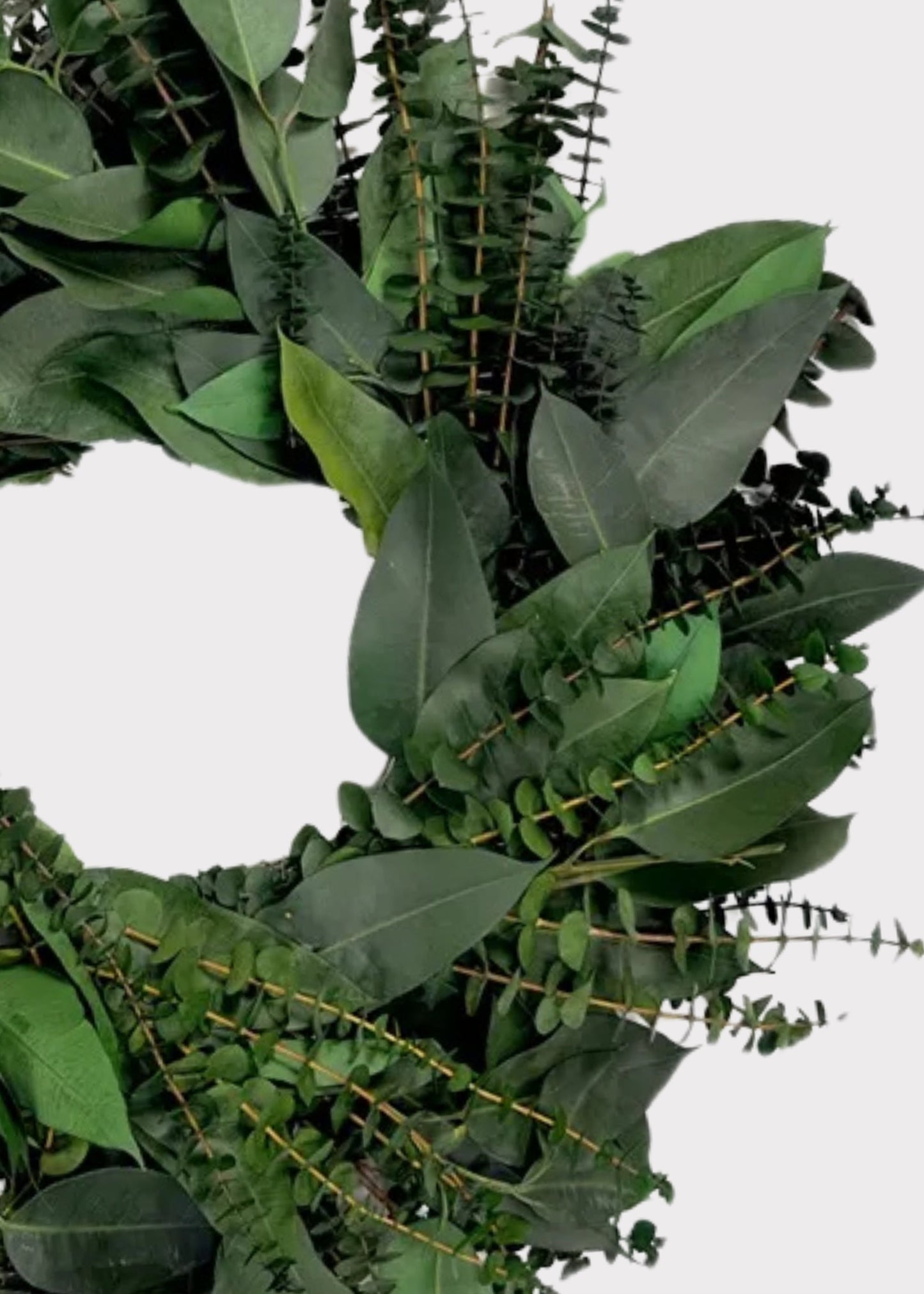 Green Preserved Diamond Eucalyptus Leaf Wreath - 22"