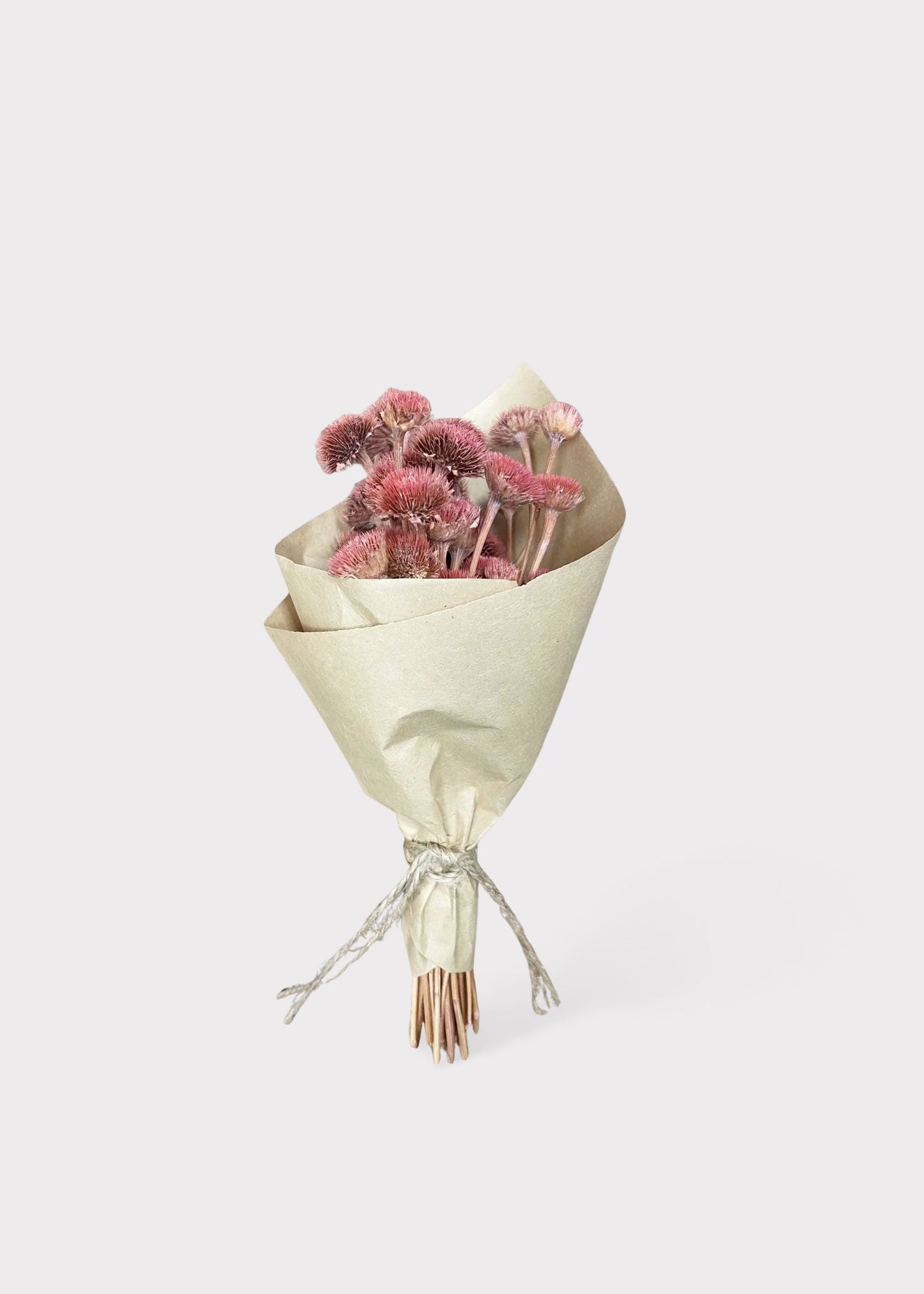 Mini Daisy Wildflower Dried Flower Bouquet in Pink - 7"