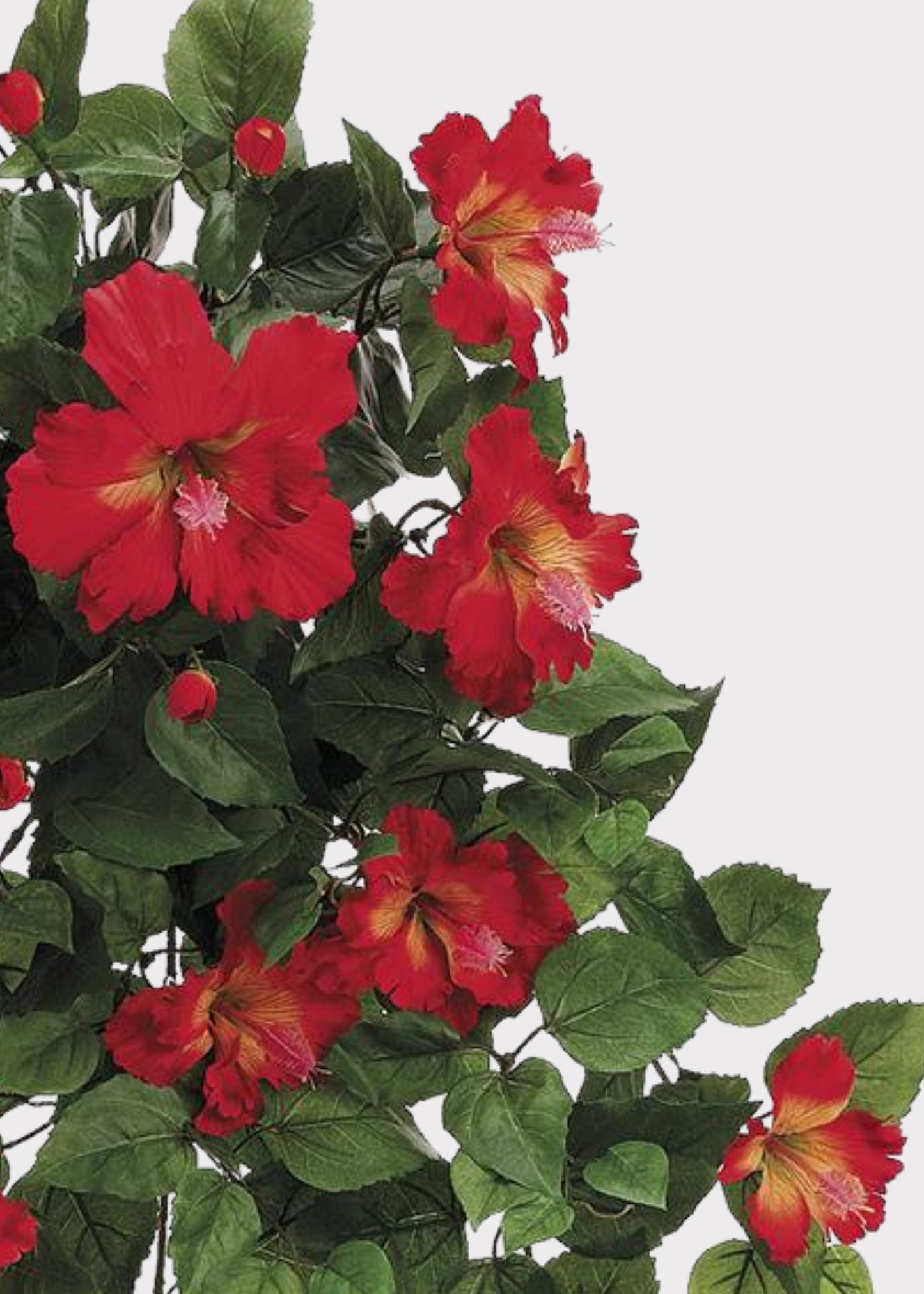 Red Artificial Hibiscus Tropical Hanging Bush - 26"