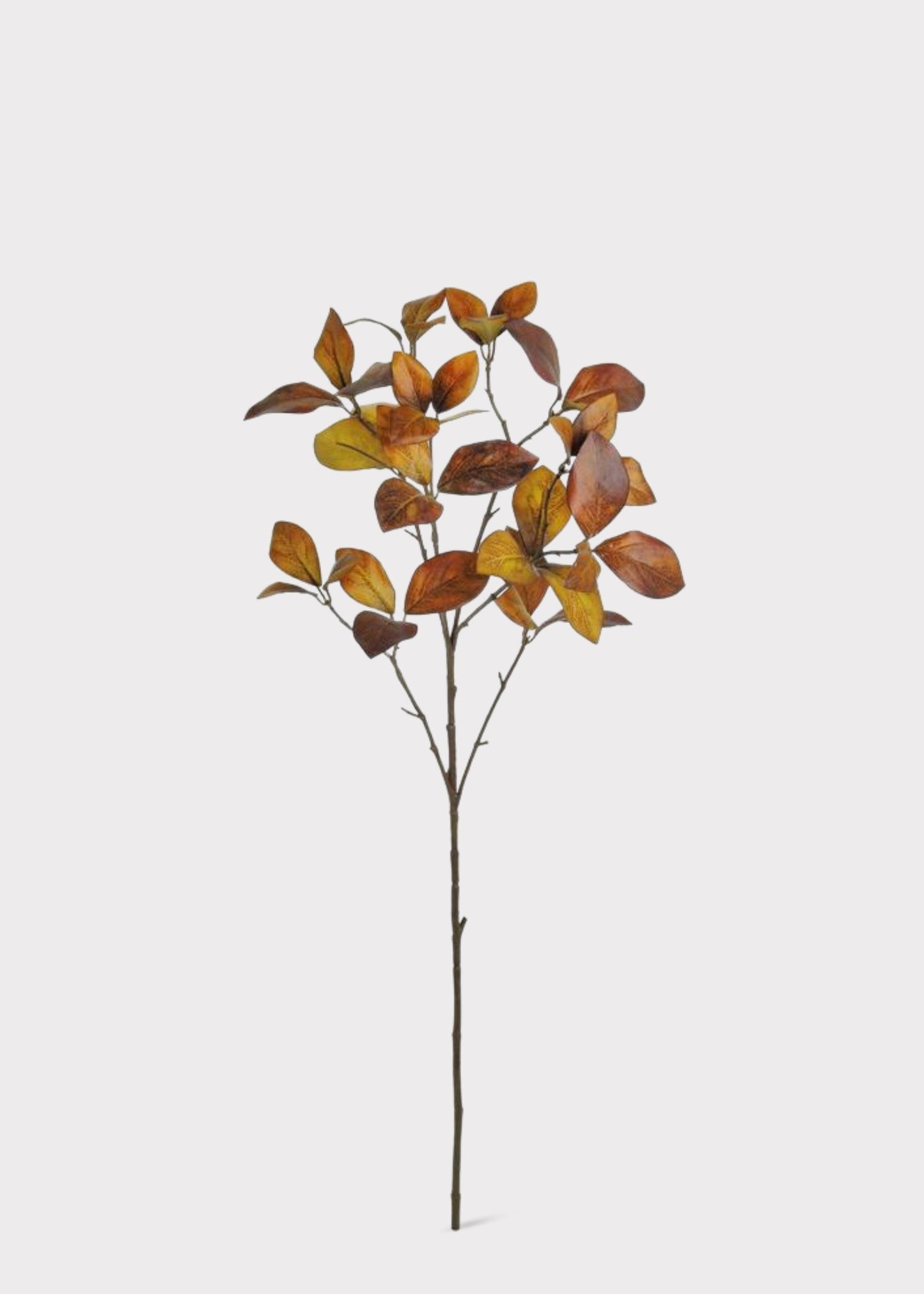 Fake Enkianthus Leaf Branch in Warm Fall Brown Hues - 30"