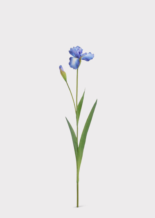Blue Real Touch Iris Fake Flower - 29"