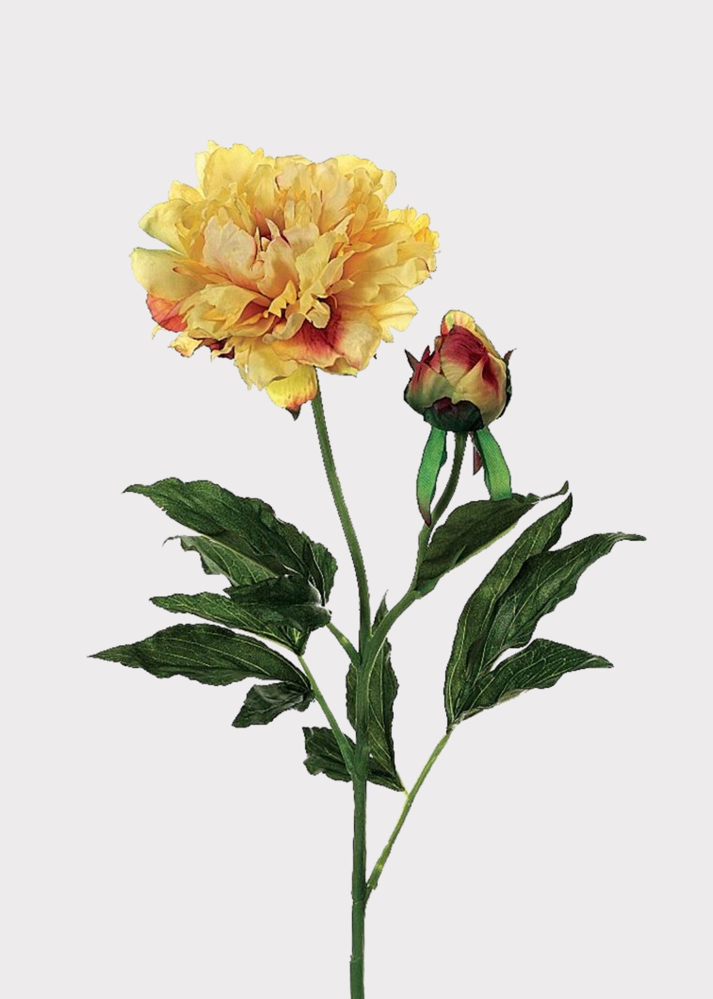 Fake Peony Flower in Golden Sunset - 28"