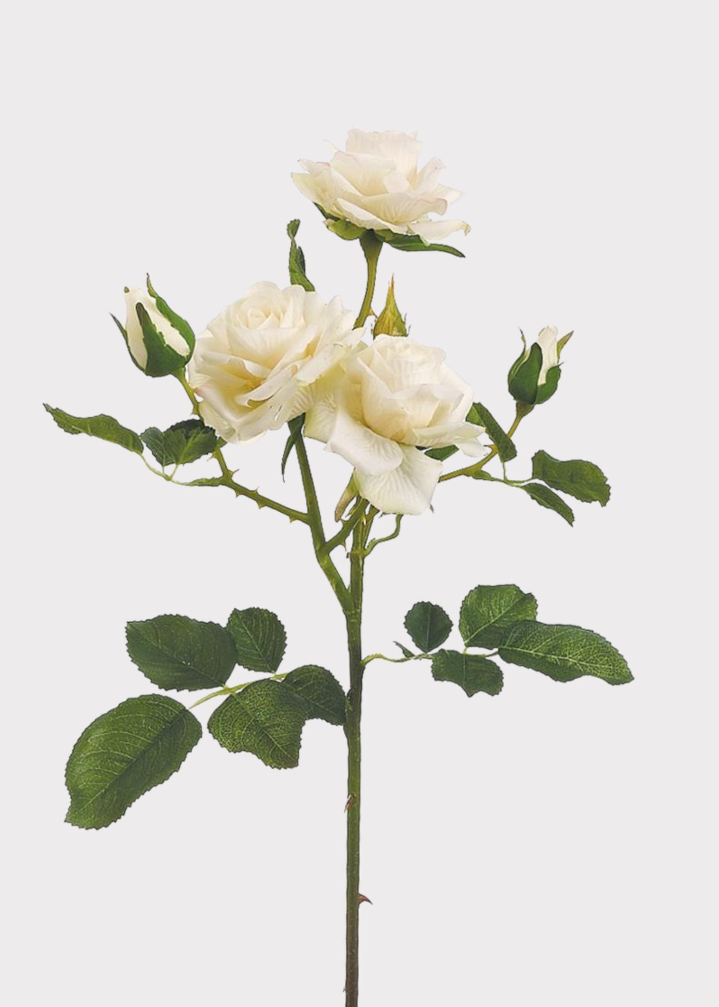 Cream Fake Roses Stem - 22.5"