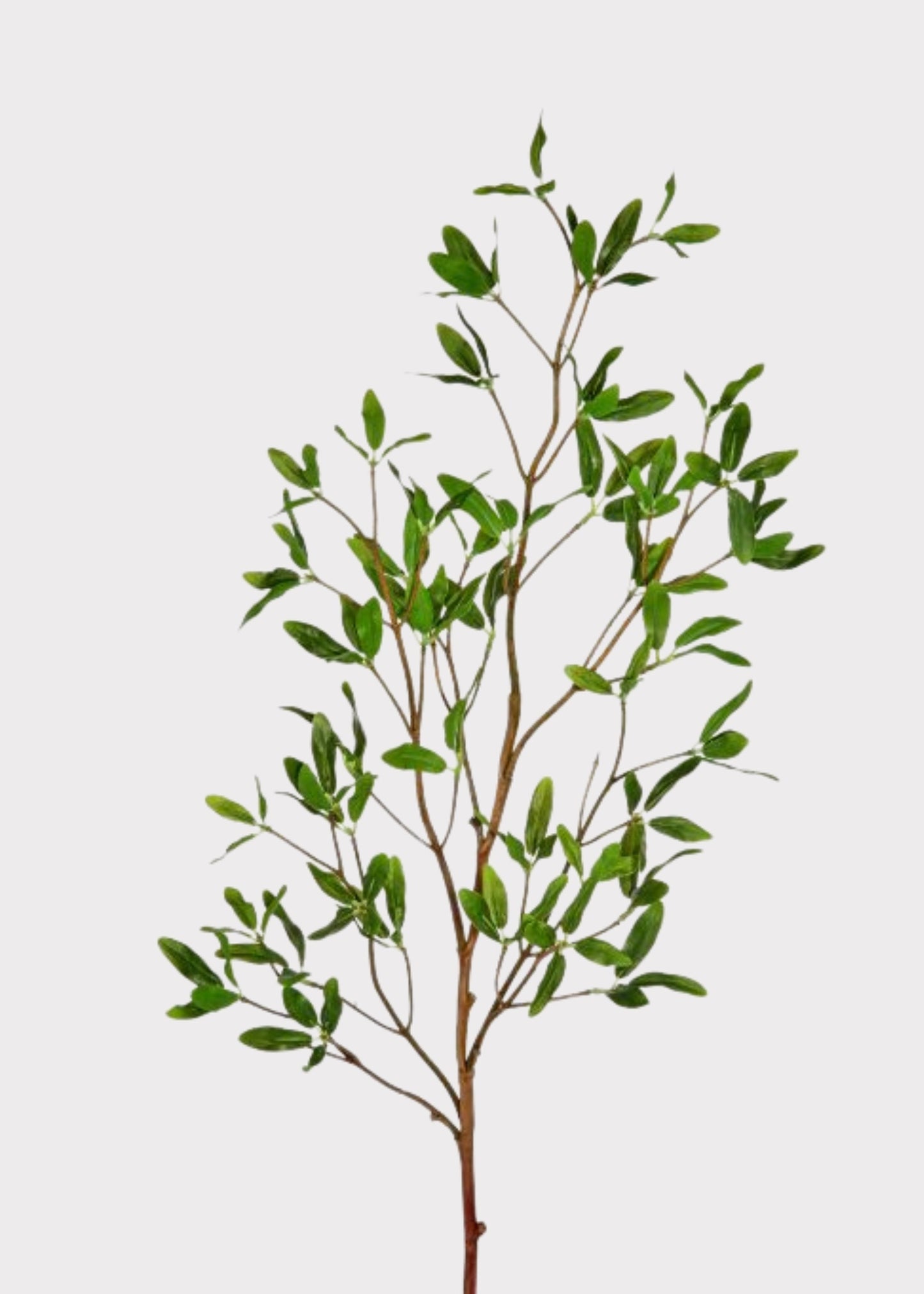 Artificial Asian Privet Leaf Branch - 33"