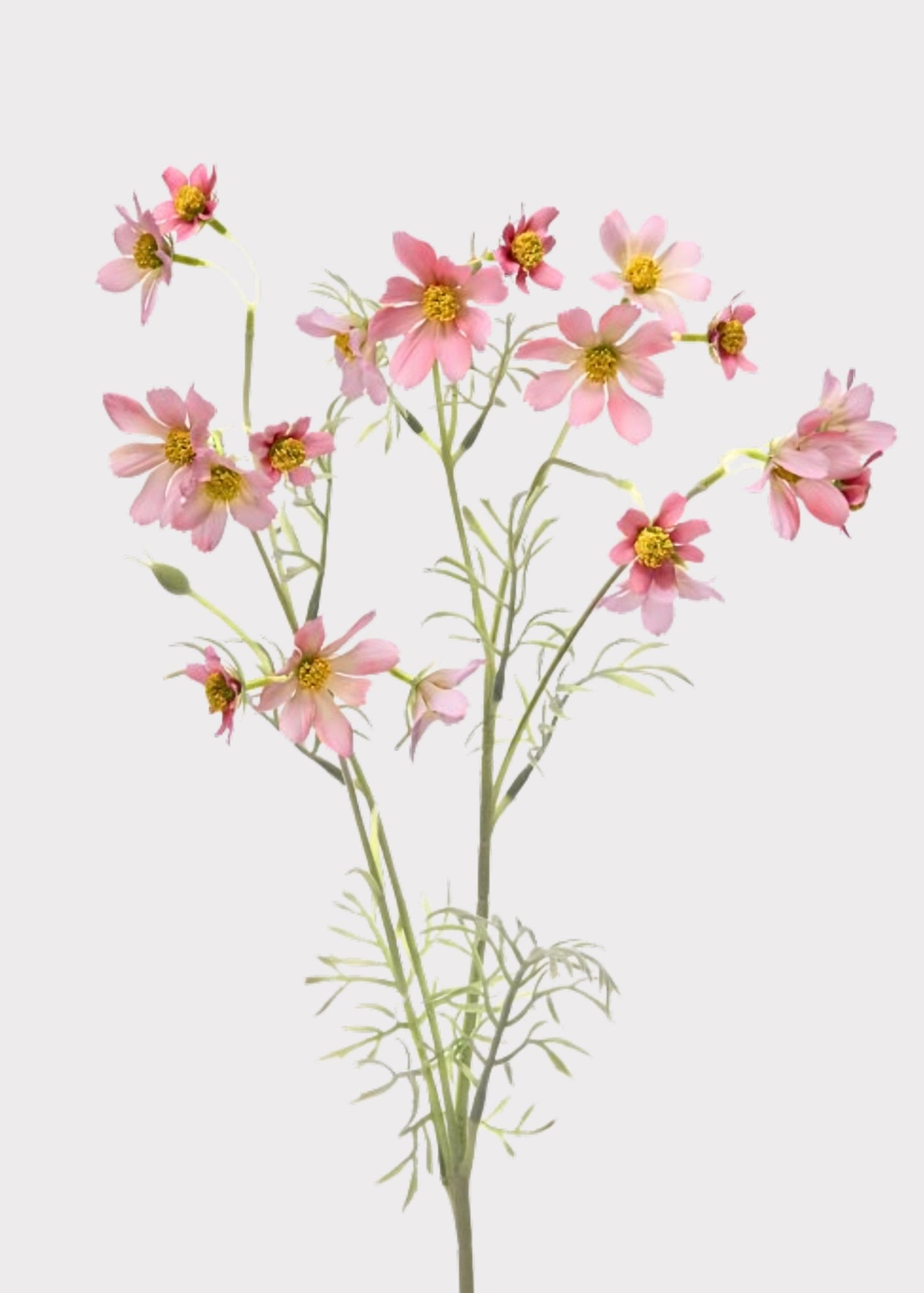 Artificial Meadow Cosmos Wildflower Spray in Pink - 31"