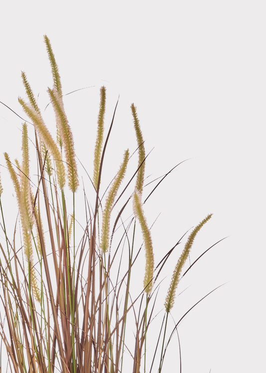 UV Treated Outdoor Fake Autumn Brown Grass Potted Plant - 48"