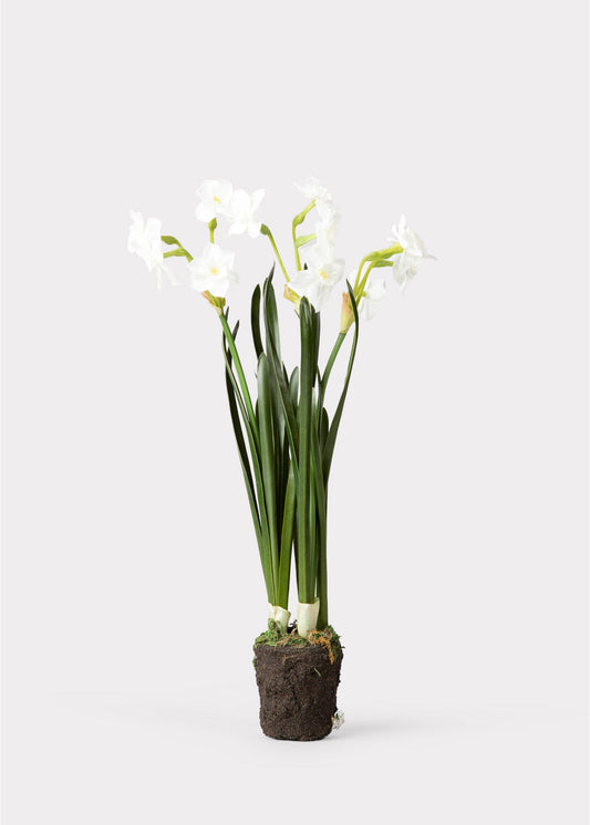 Artificial Spring Paperwhite Drop-In Plant - 17"