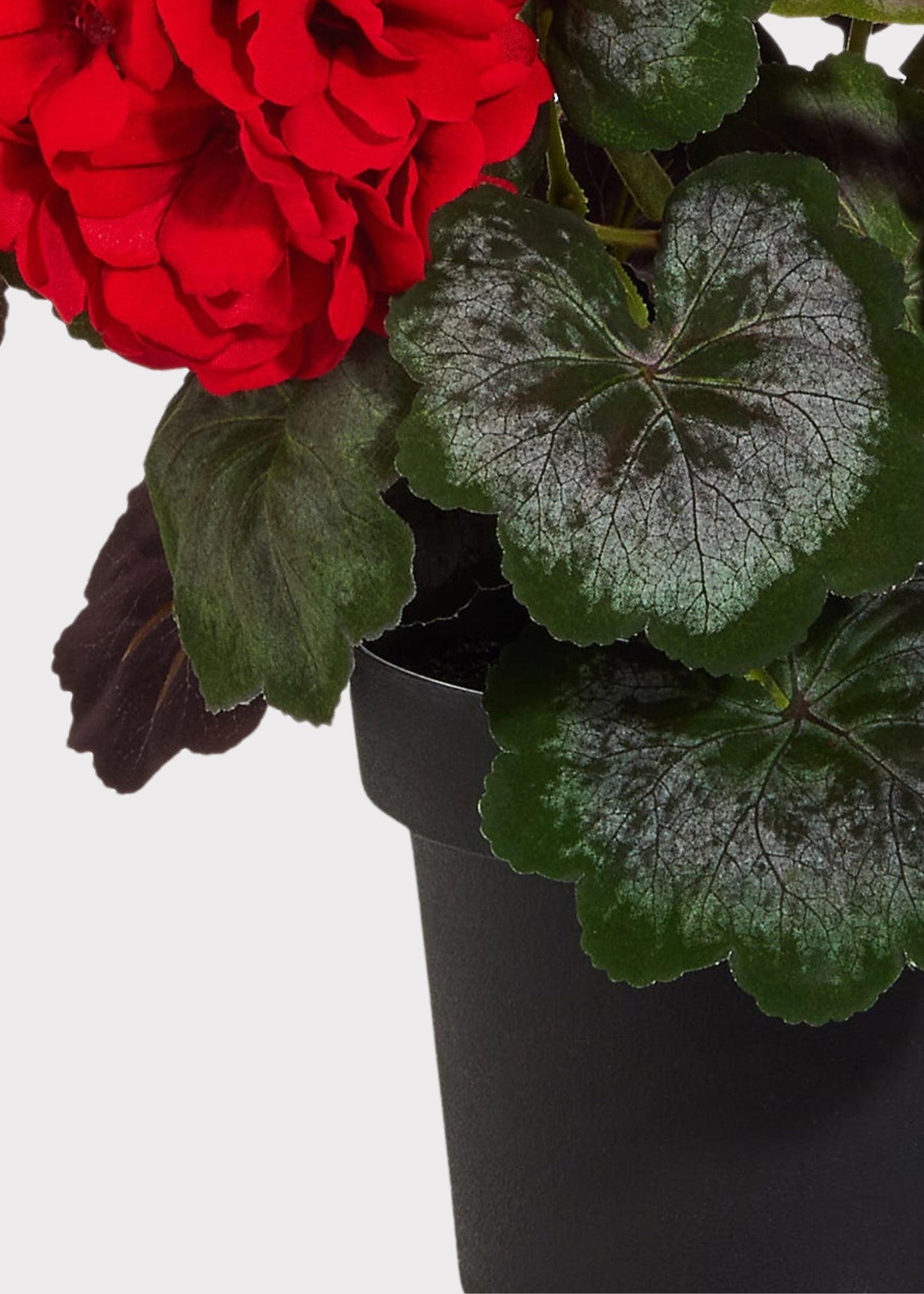 Red Artificial Geranium Potted Arrangement - 18"