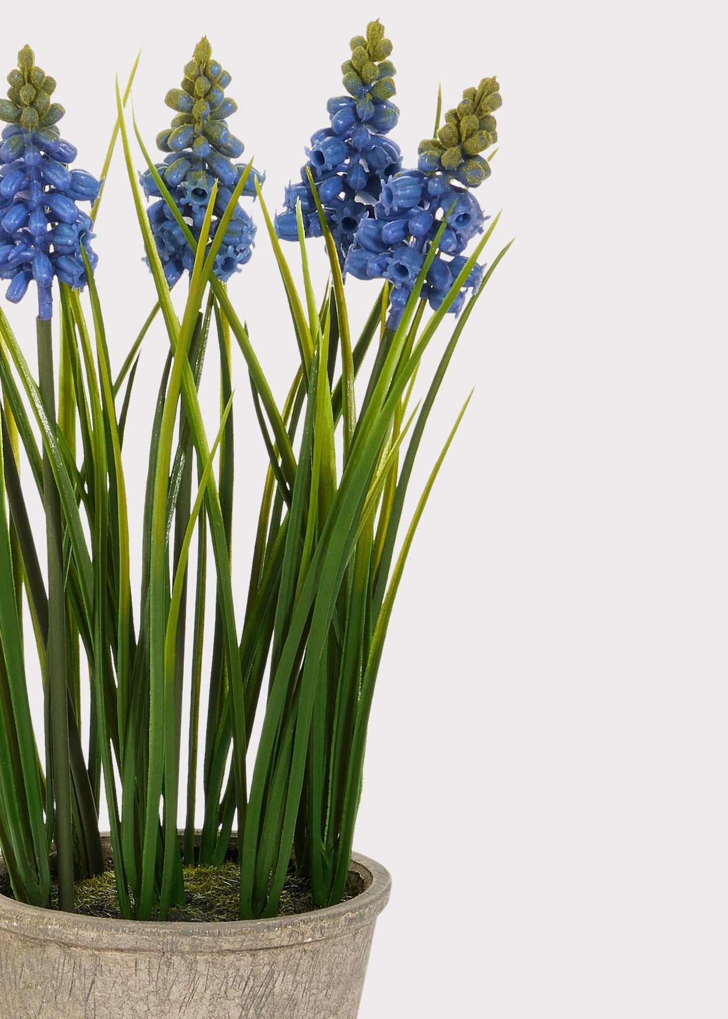 Blue Blooming Grape Hyacinth Fake Flower Potted Plant - 11.5"