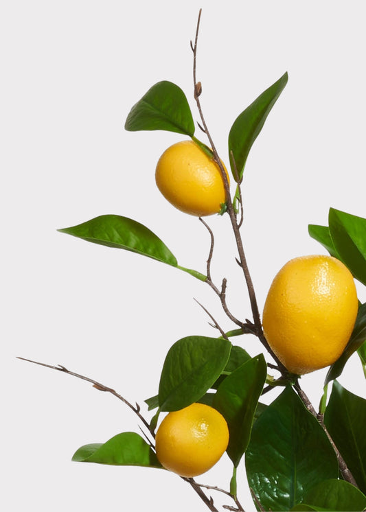 Fake Lemon Fruit Branch - 36"