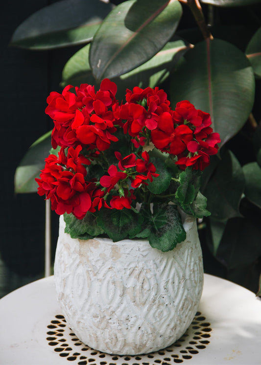 UV Resistant Indoor/Outdoor Natural Touch Geranium Pick - 17"