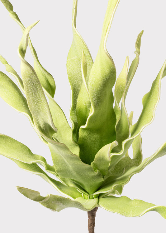 Fake Desert Succulent Spiral Dracaena Plant - 30"