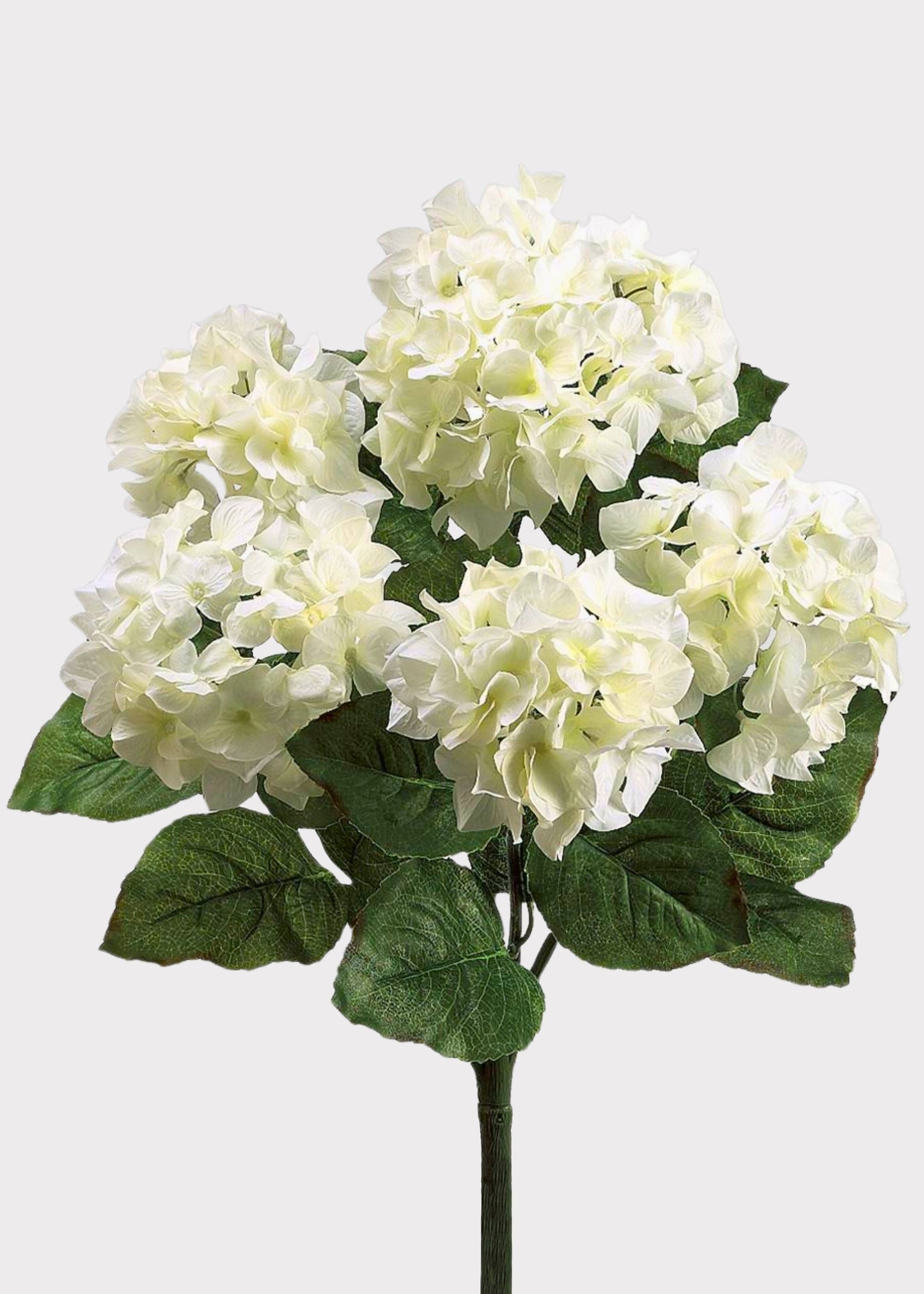Fake Blooming Hydrangea Bush in Cream White - 22"