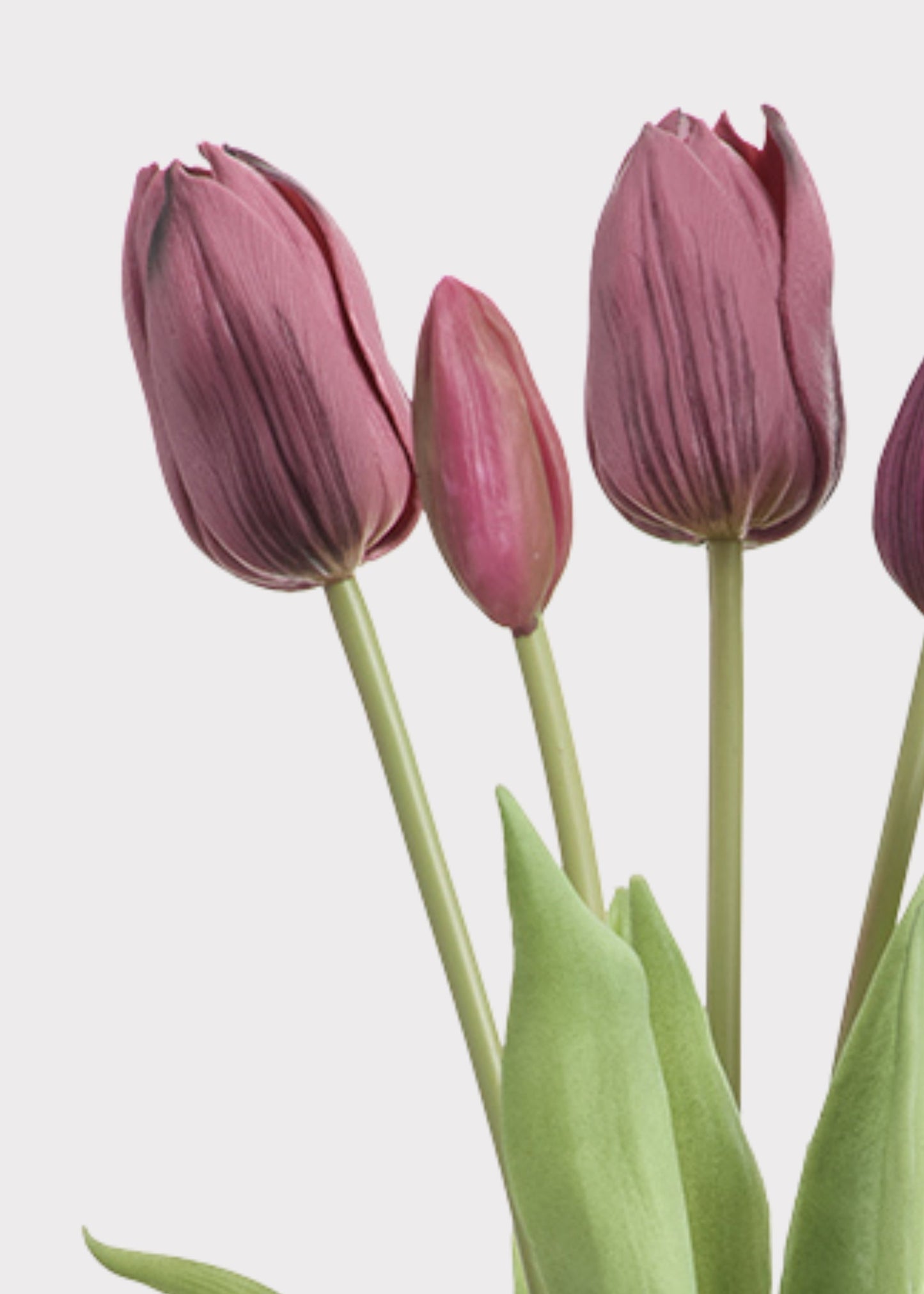 Plum Purple Real Touch Dutch Tulip Spring Flower Bouquet - 16"
