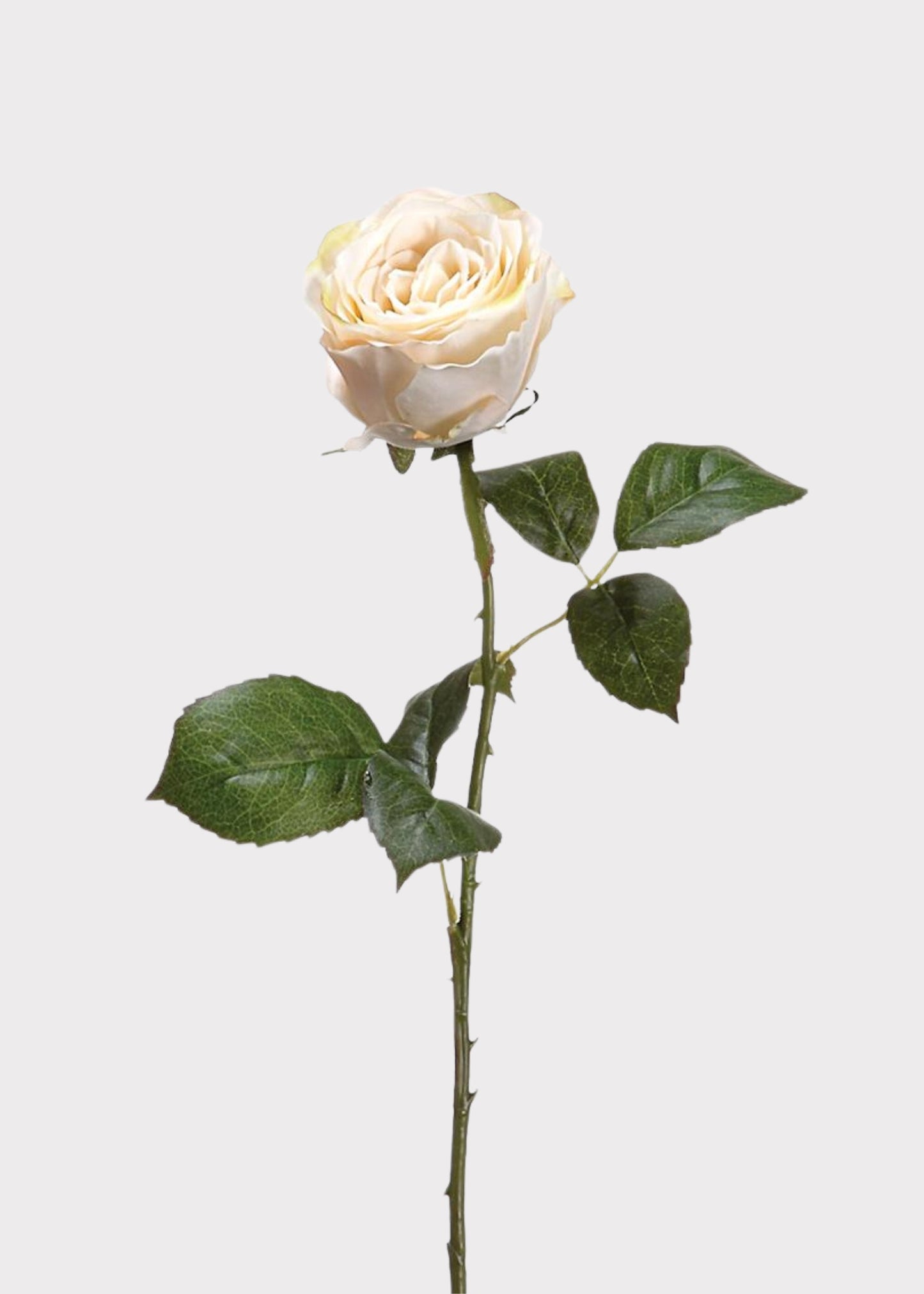 Beige Half Open Rose Fake Flower - 22"