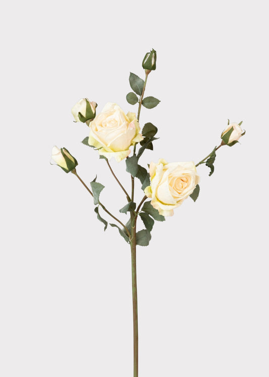 Artificial Roses in Cream - 27.5"