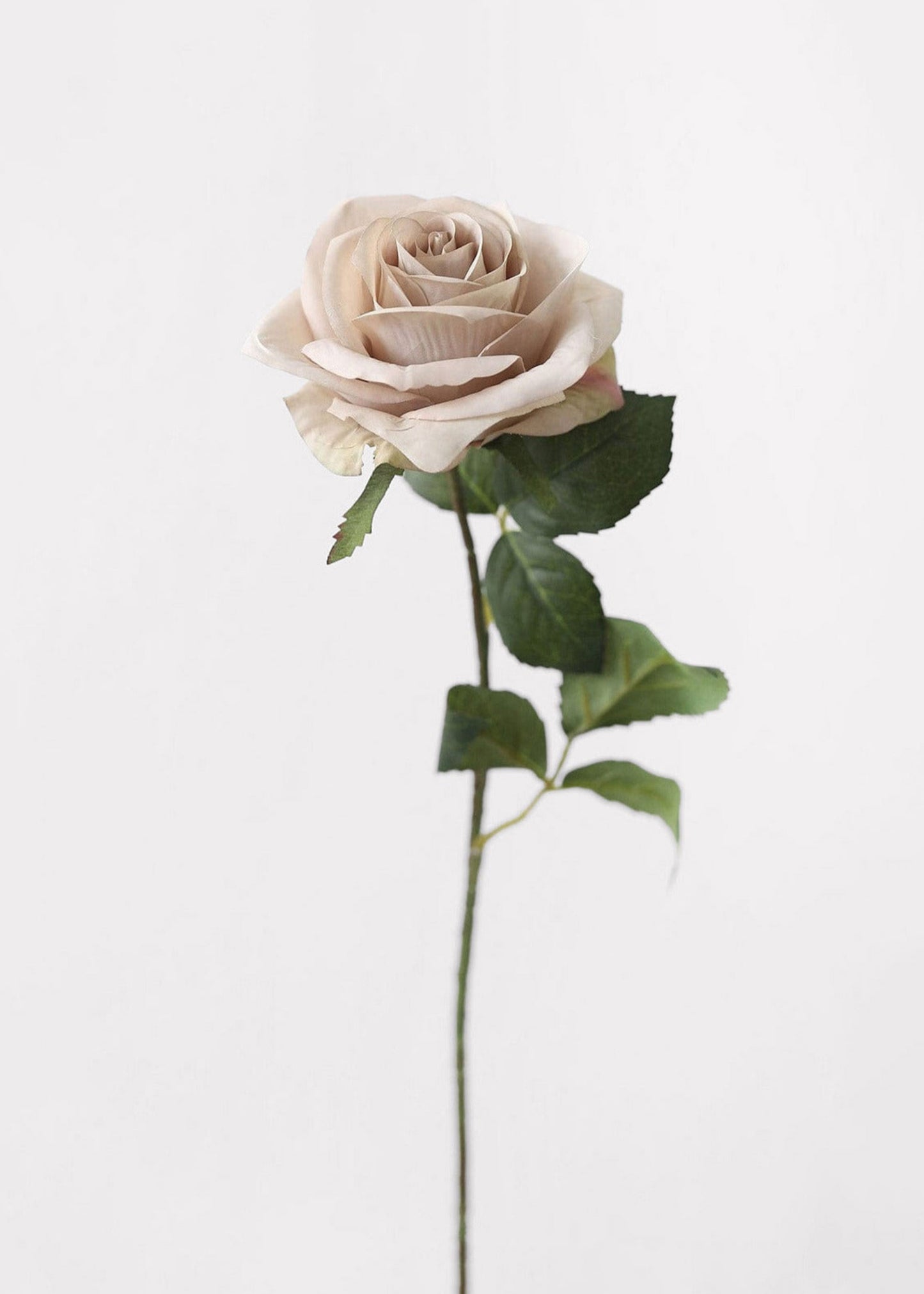 Artificial Flowers Rose in Taupe Beige - 21.5"