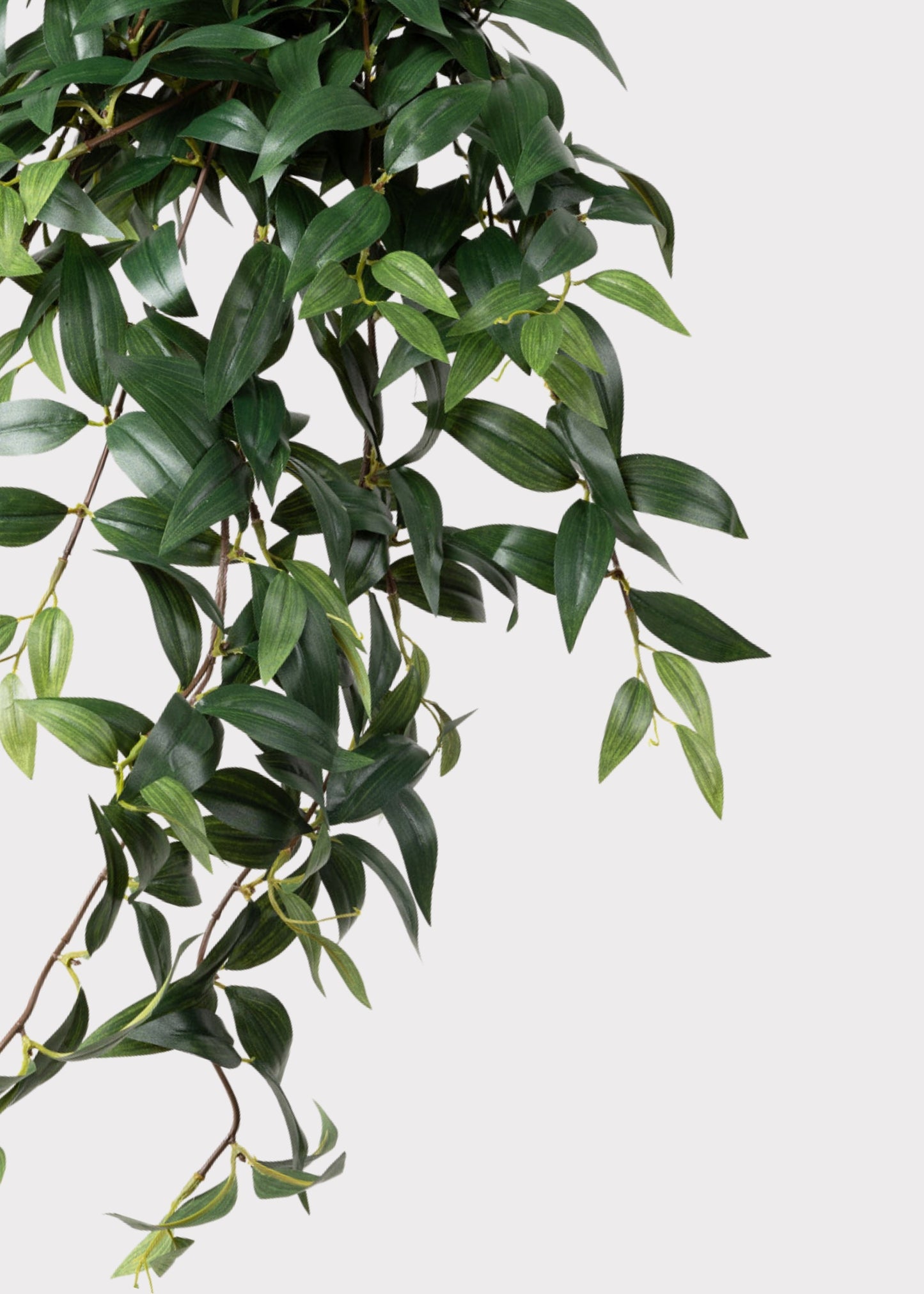 Fake Ruscus Leaf Hanging Plant - 31"