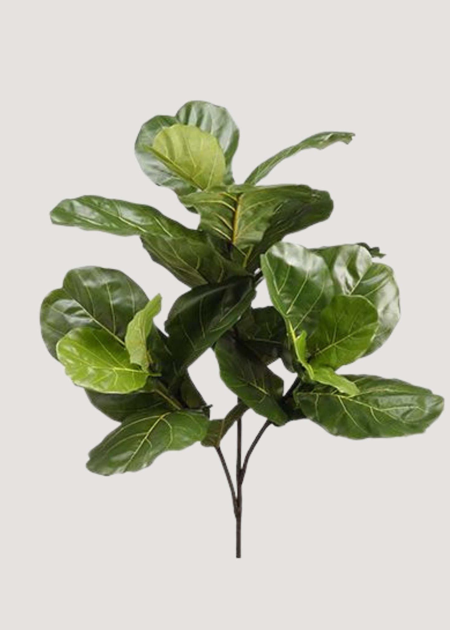 Tall Artificial Fiddle Leaf Fig Branch - 41"