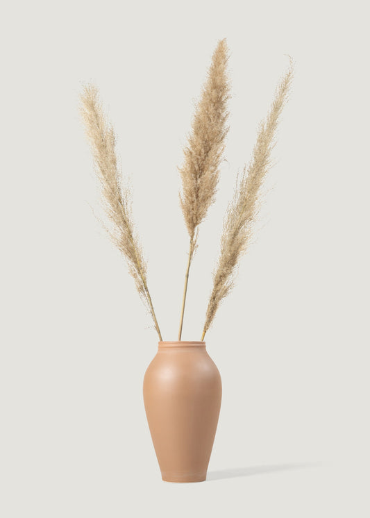 Bundle of 3 Natural Dried Feather Pampas Grass Stems - 45-48"