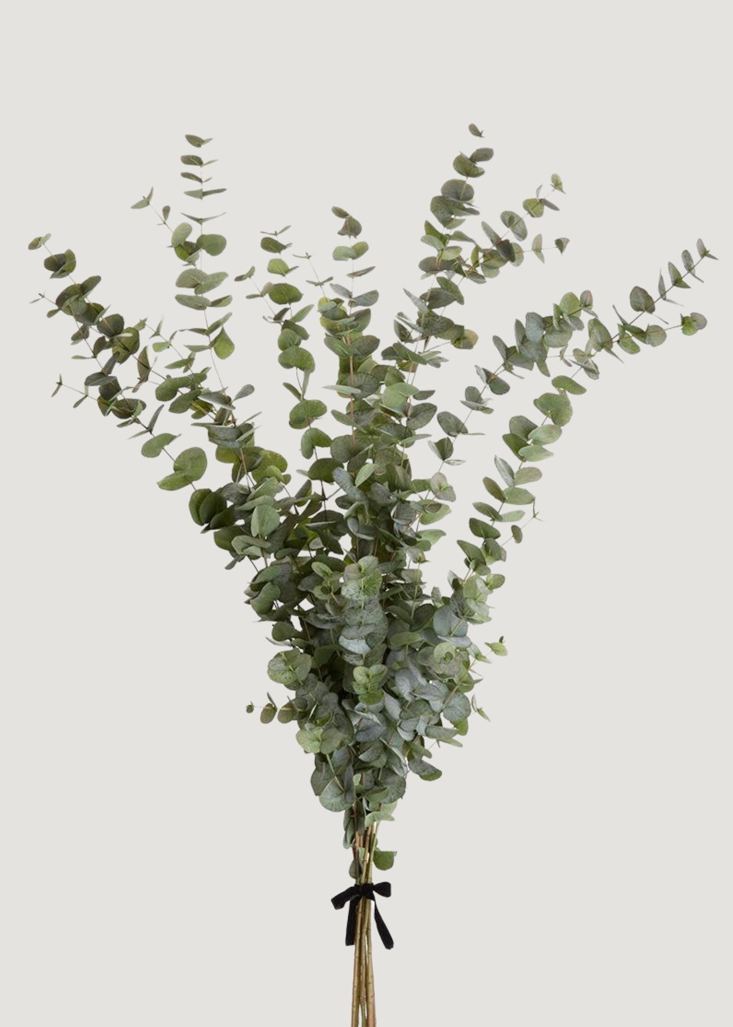 Large Artificial Eucalyptus Branch Bundle - 61"