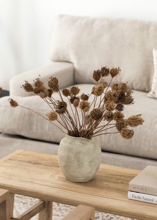 Natural Dried Queen Anne's Lace Flowers - 3.5 oz Bunch