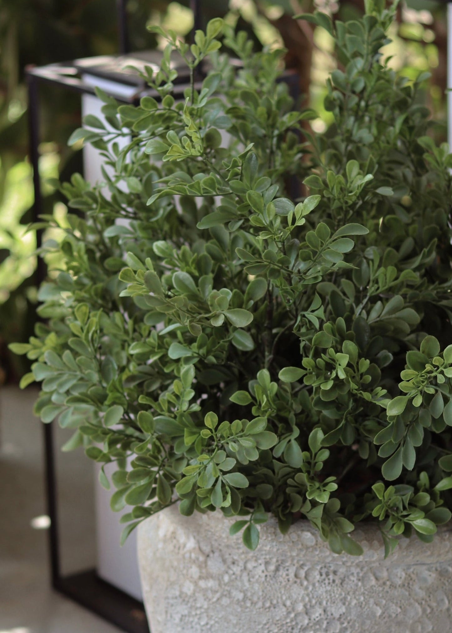 Fake Plants UV Treated Indoor/Outdoor Boxwood Bush - 24"