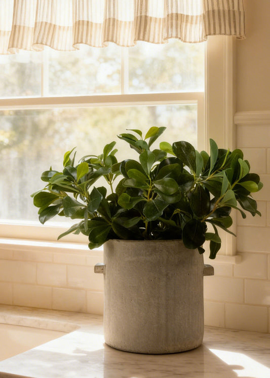Natural Touch Artificial Wax Privet Leaf Plant - 15"