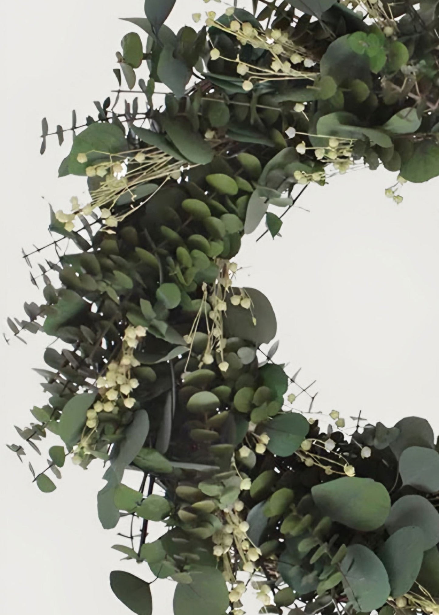 Preserved Eucalyptus Leaf and Flax Wreath - 22"
