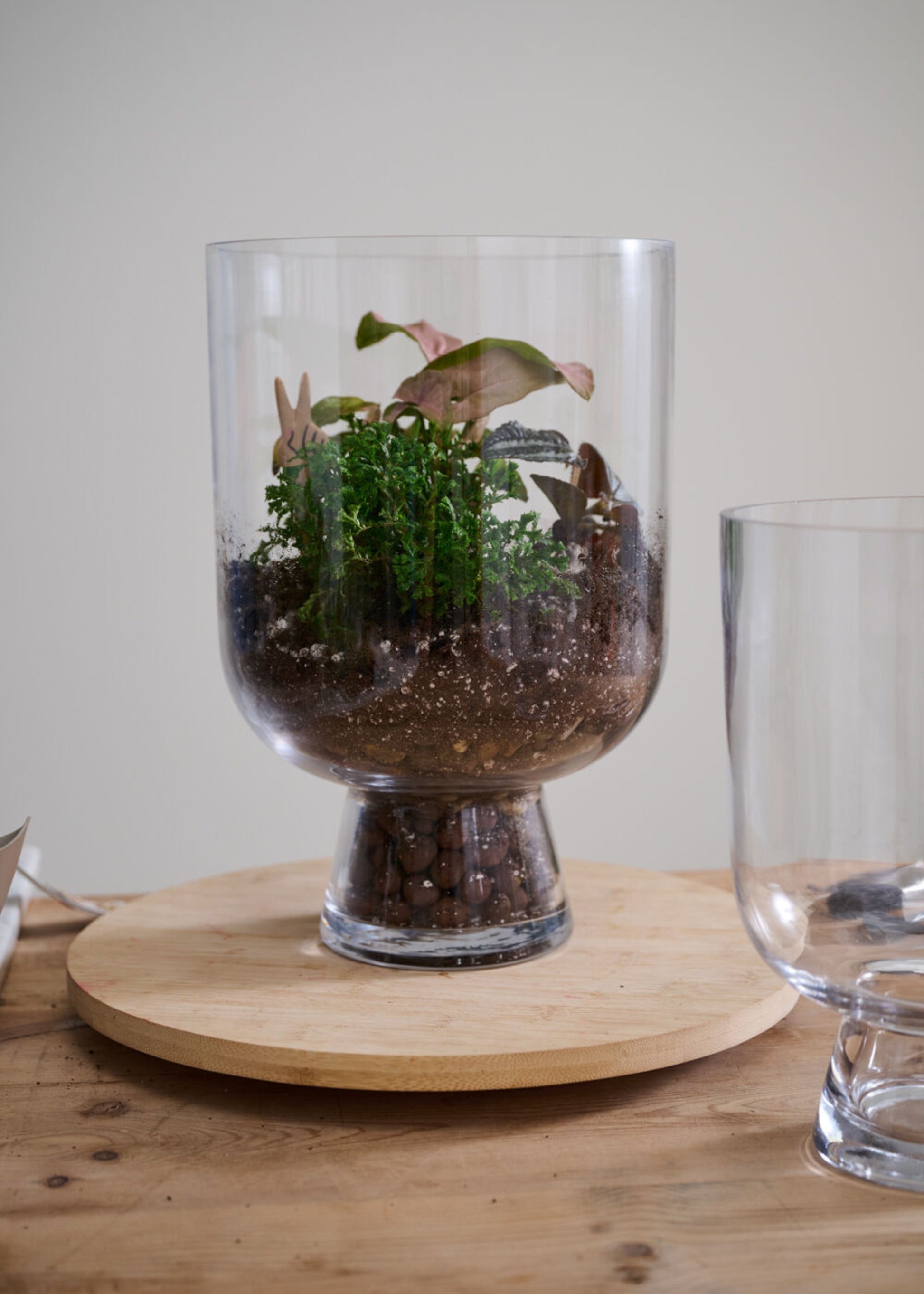 Clear Glass Reservoir Terrarium Footed Vase - 13"