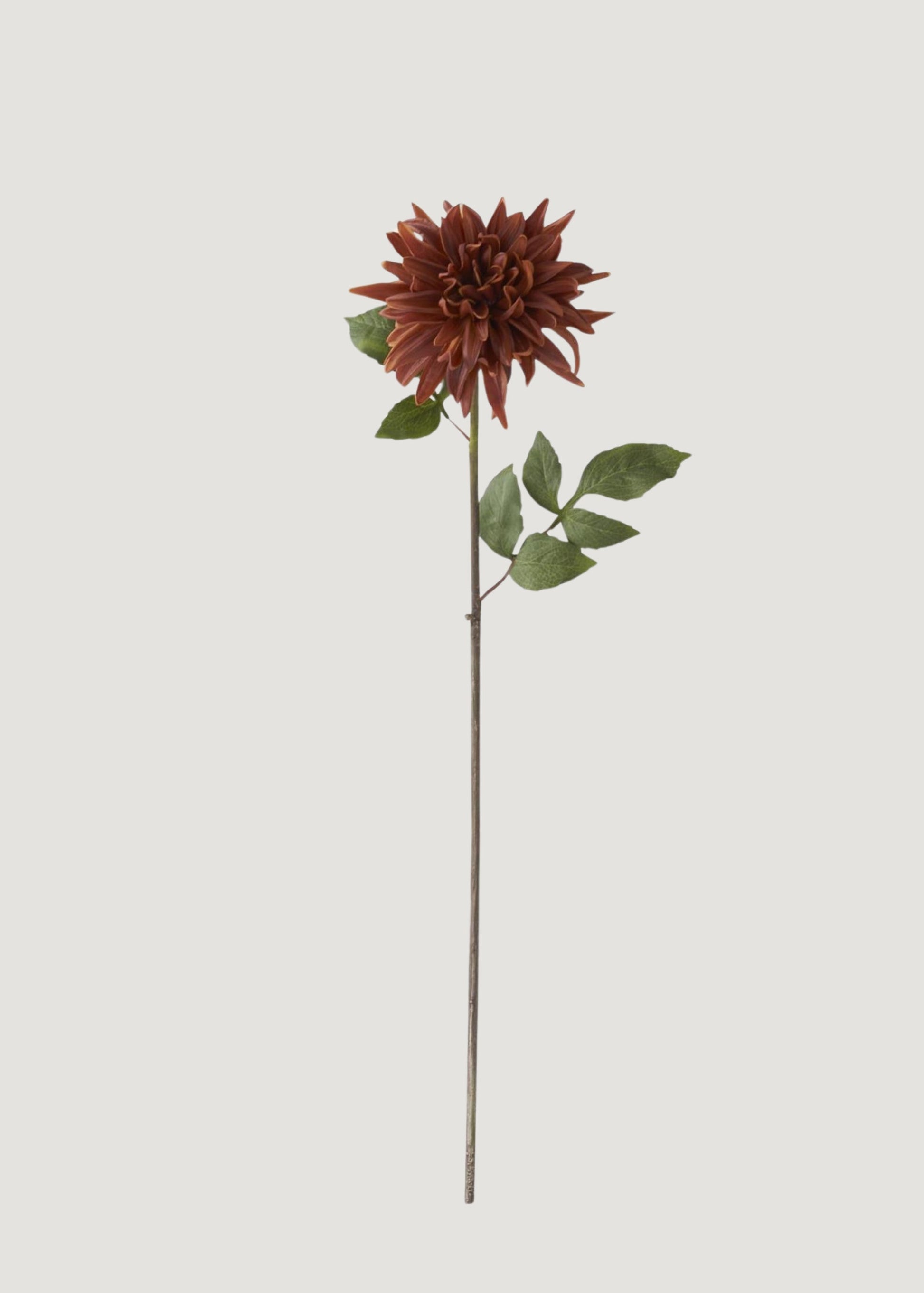 Real Touch Dahlia Fake Flower in Earthy Brown - 28.25"