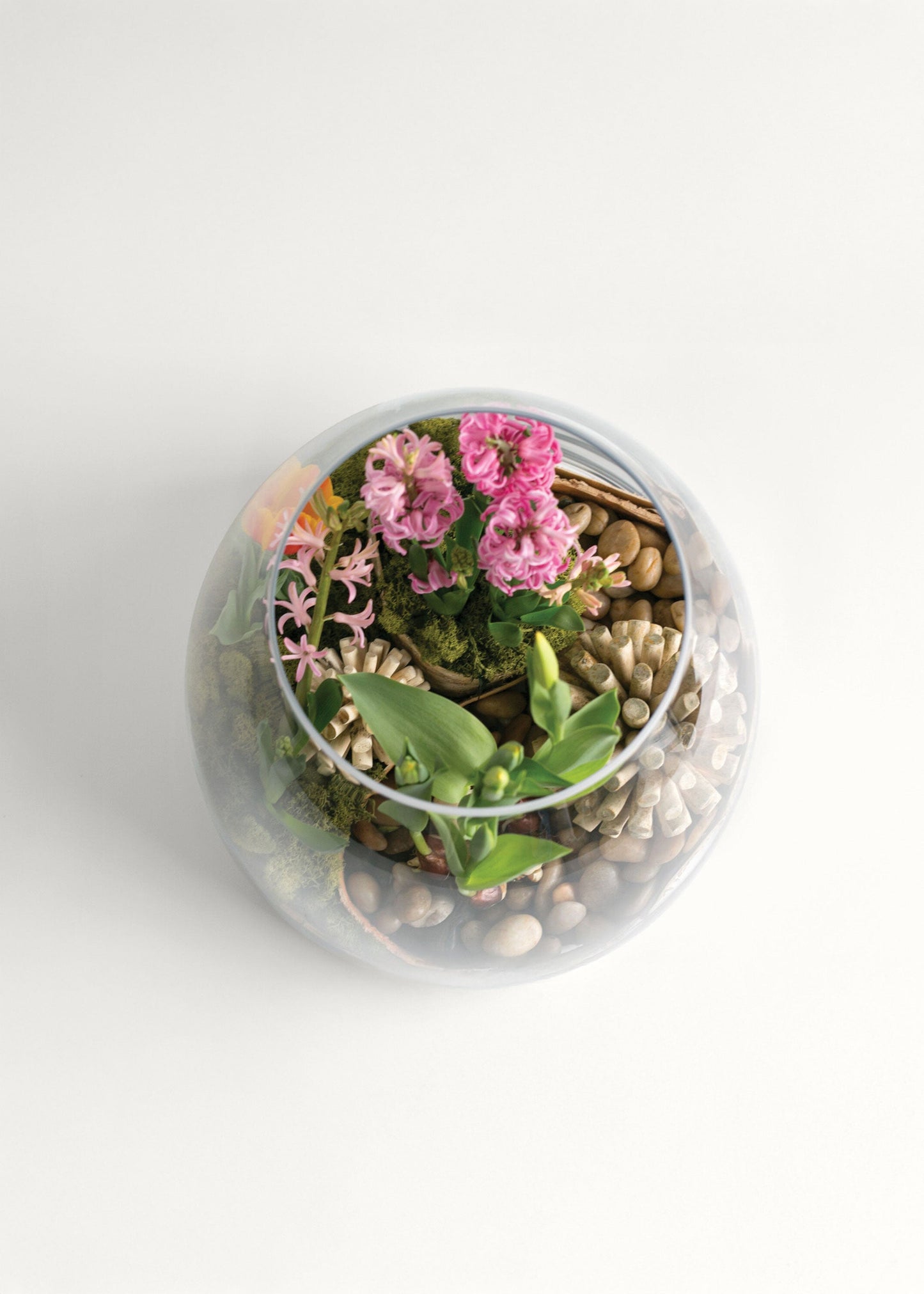 Large Clear Glass Terrarium Vase - 15.25"