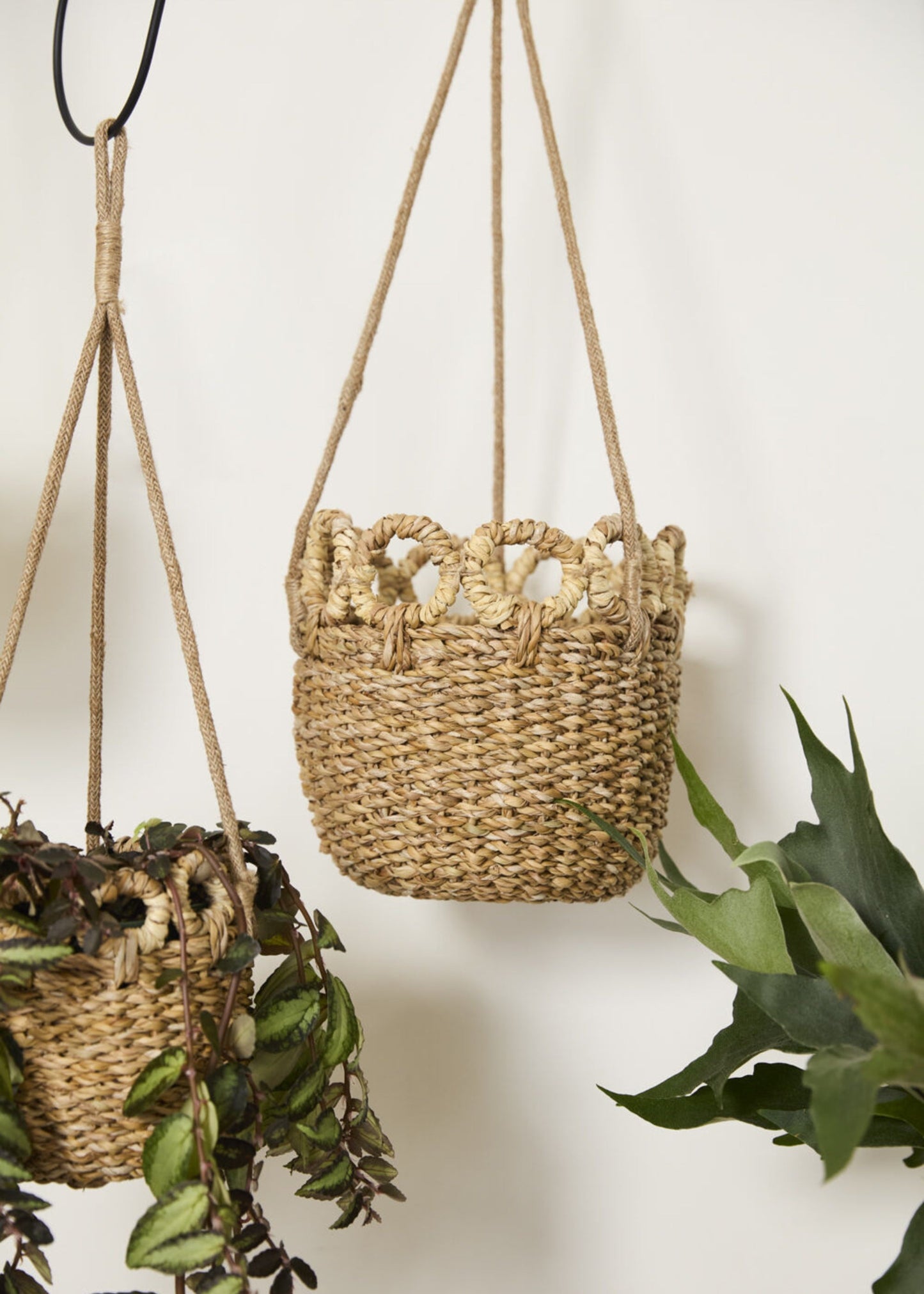 Handmade Woven Seagrass Hanging Plant Basket - 20"