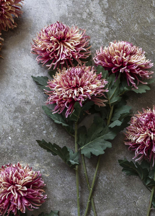 Fake Chrysanthemum Flower in Pink Sunset - 35.25"
