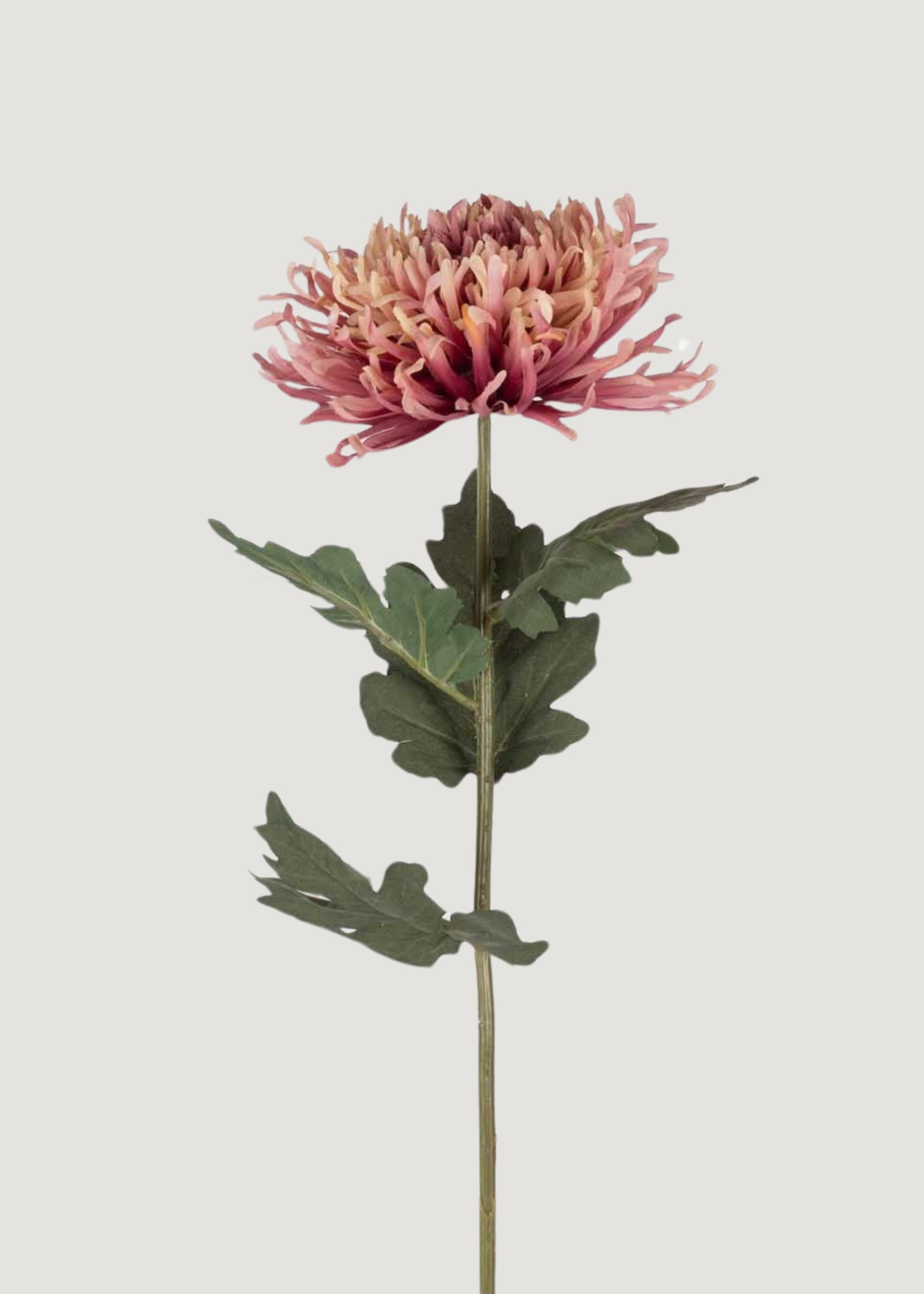 Fake Chrysanthemum Flower in Pink Sunset - 35.25"